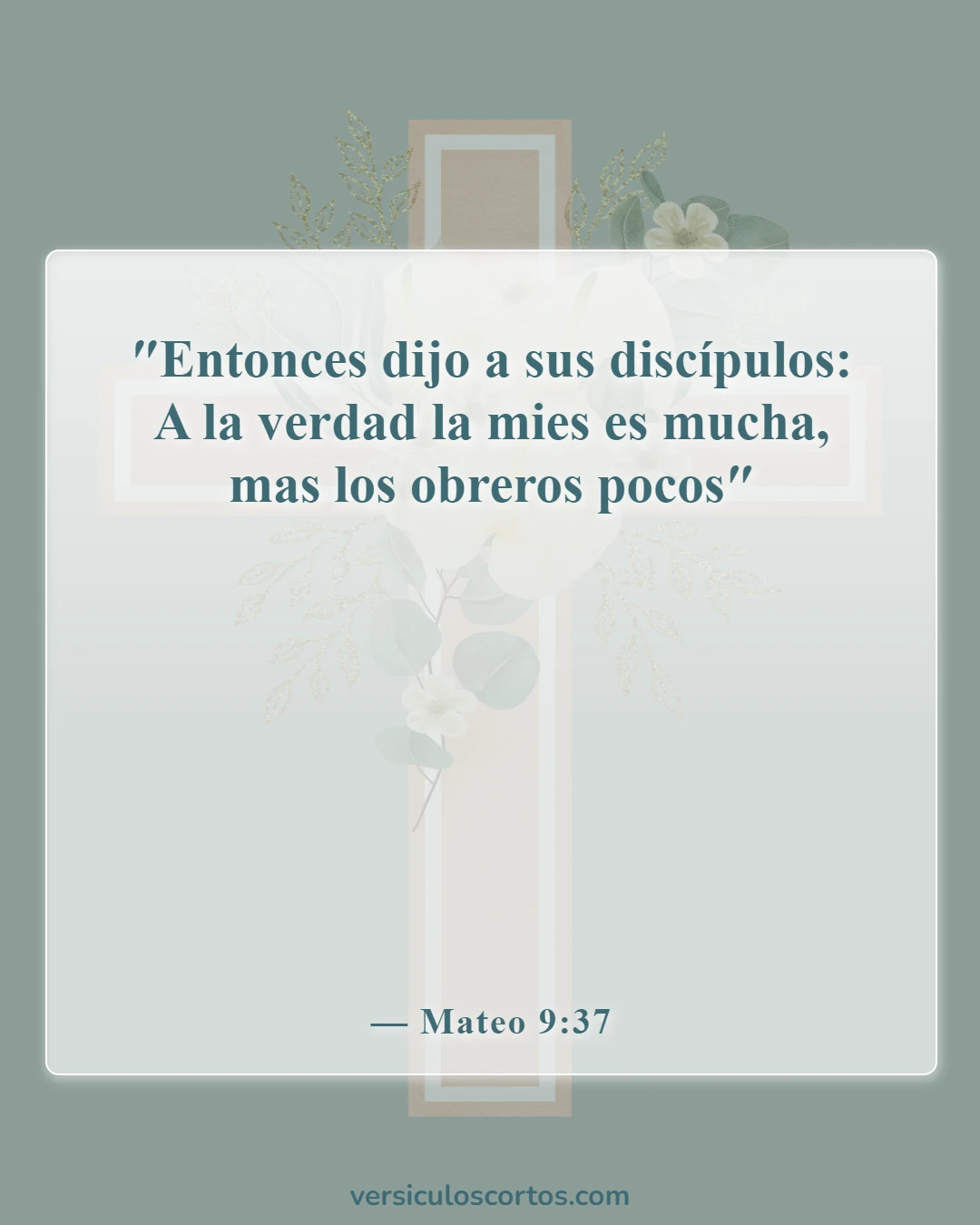 Versículos de la Biblia sobre el Misionero (Mateo 9:37)