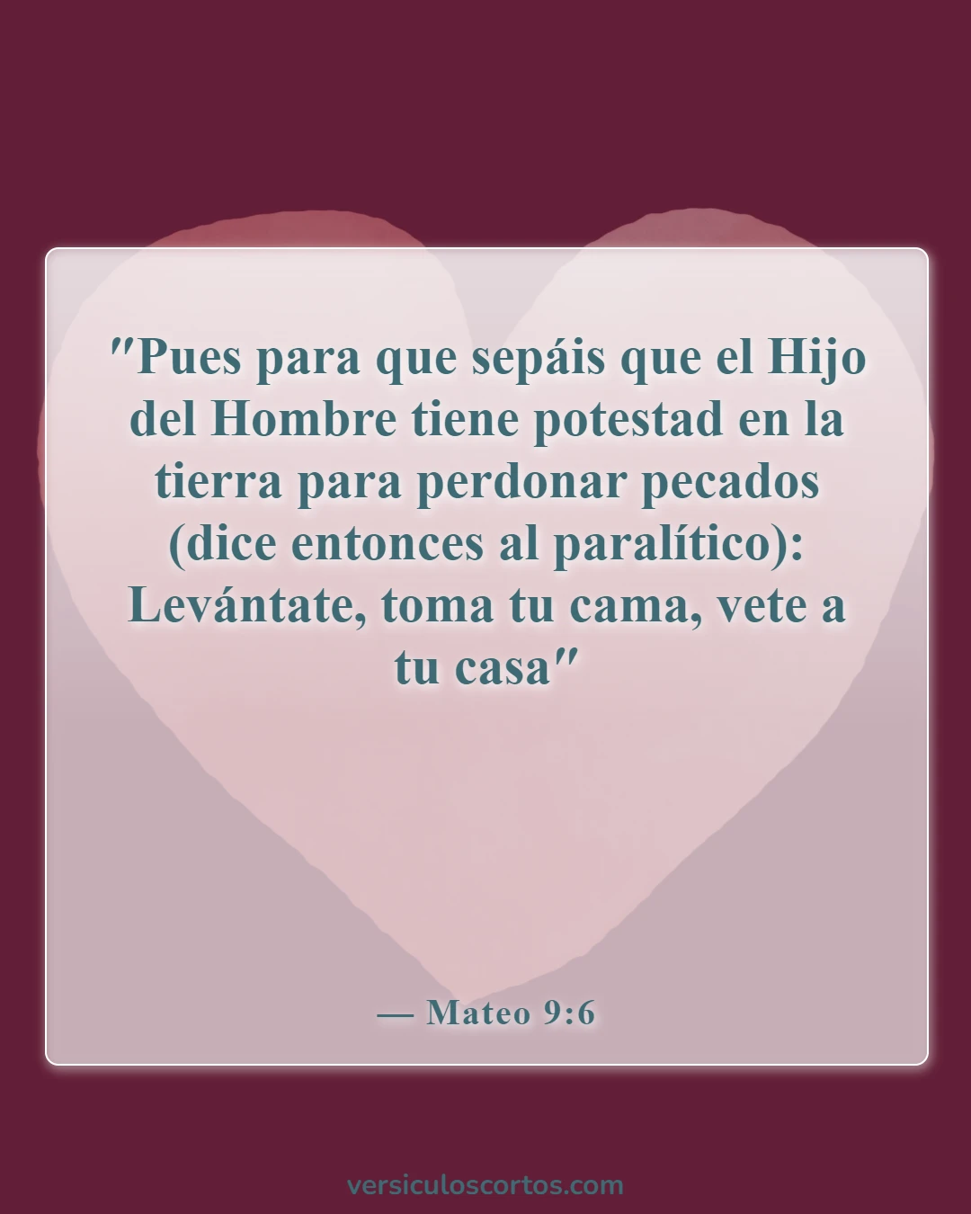 Versículos de la Biblia sobre Jesucristo (Mateo 9:6)