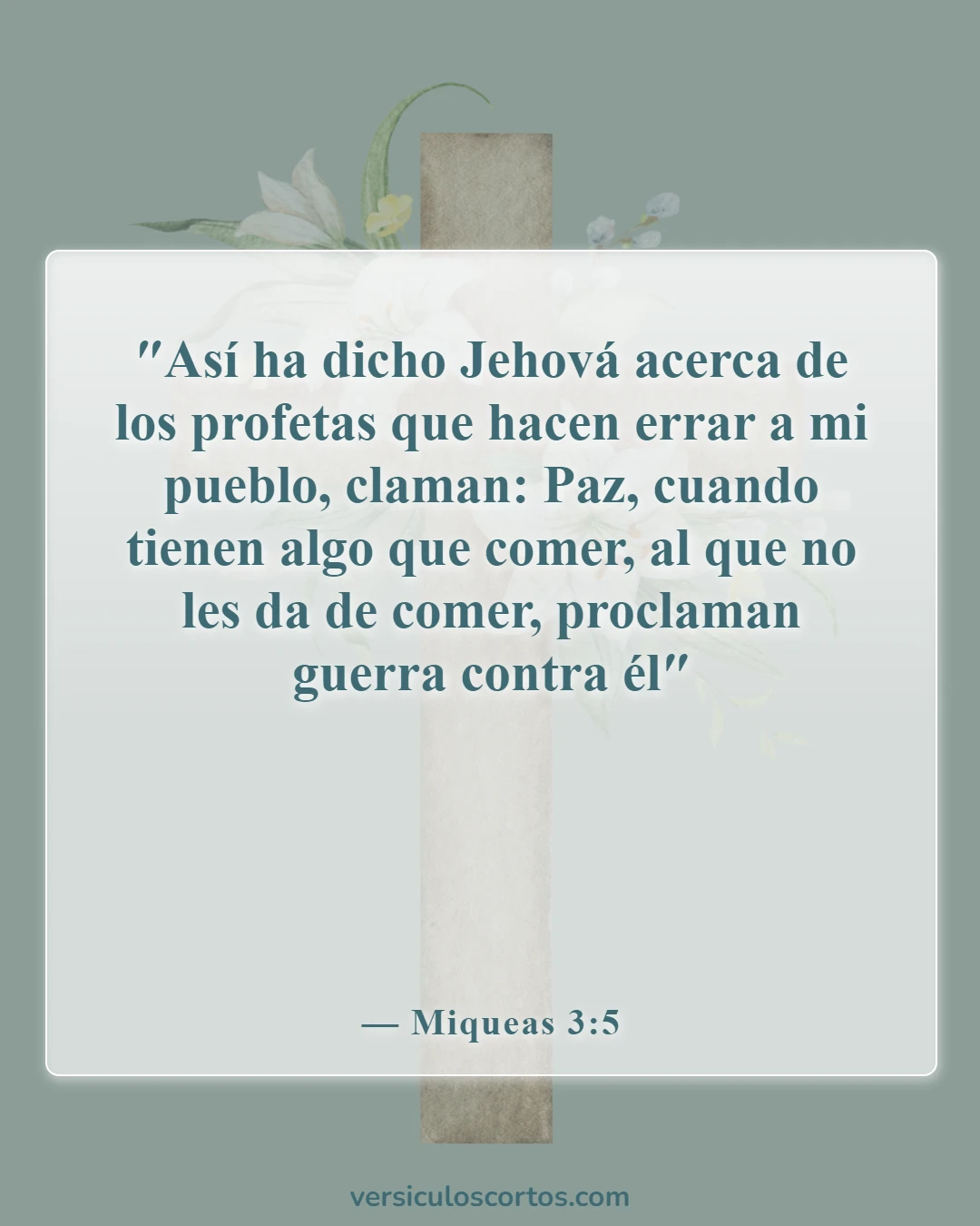 Versículos de la Biblia sobre falsos profetas (Miqueas 3:5)