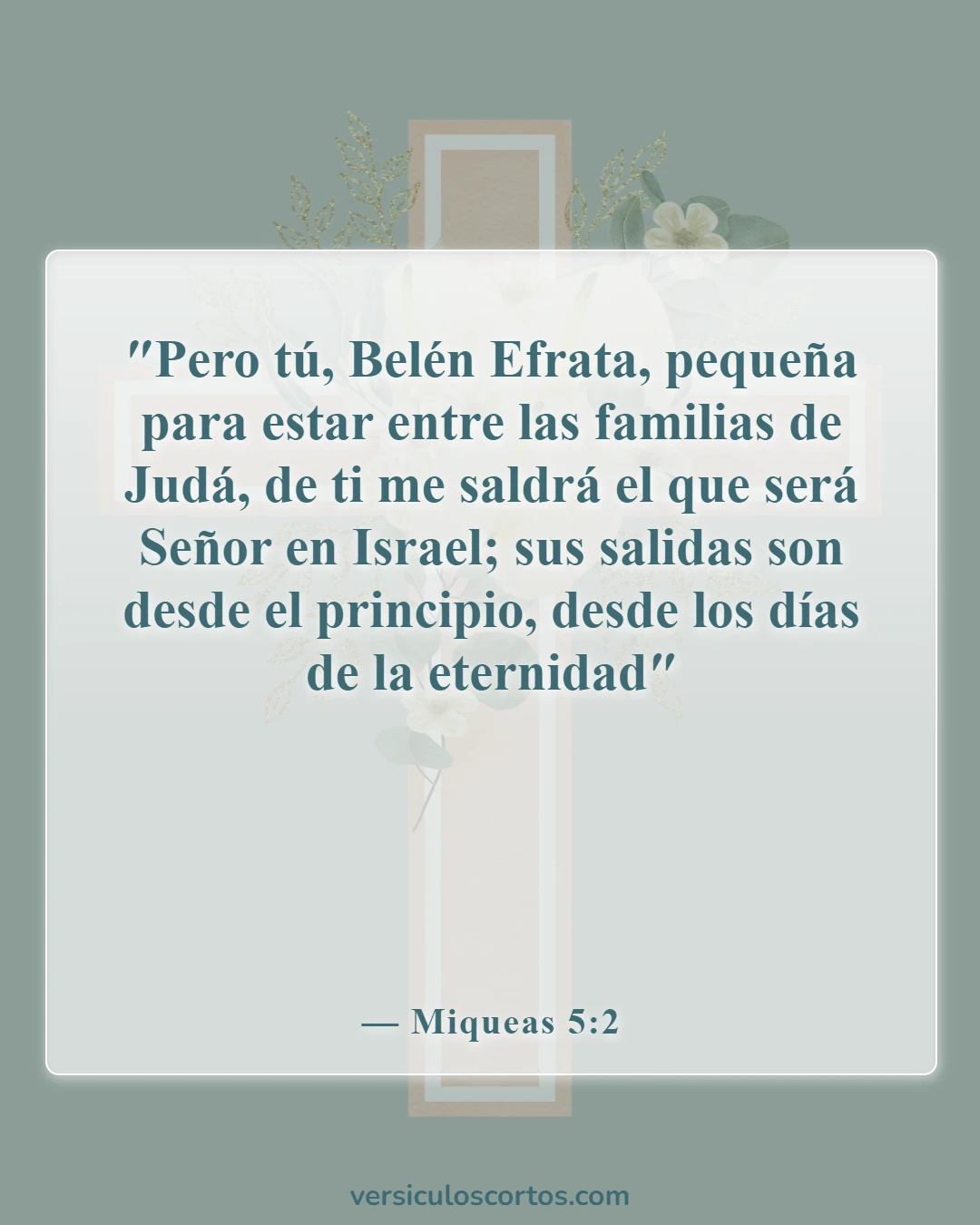 Versículos de la Biblia sobre Jesús como imagen de Dios (Miqueas 5:2)