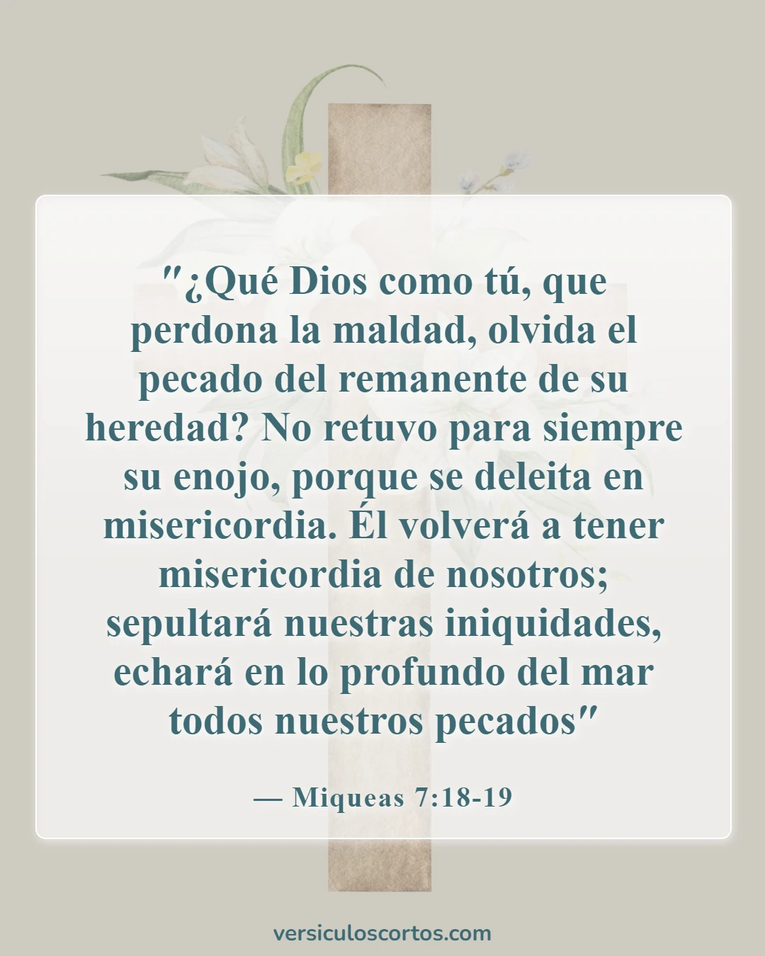 Versículos de la Biblia sobre cómo Dios me acepta (Miqueas 7:18-19)