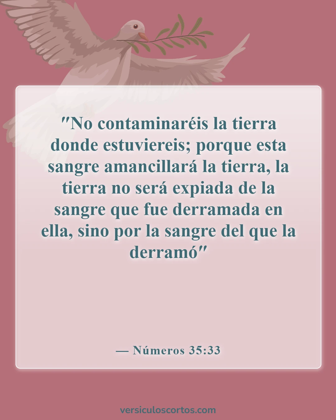 Versículos de la Biblia sobre el castigo por asesinato (Números 35:33)