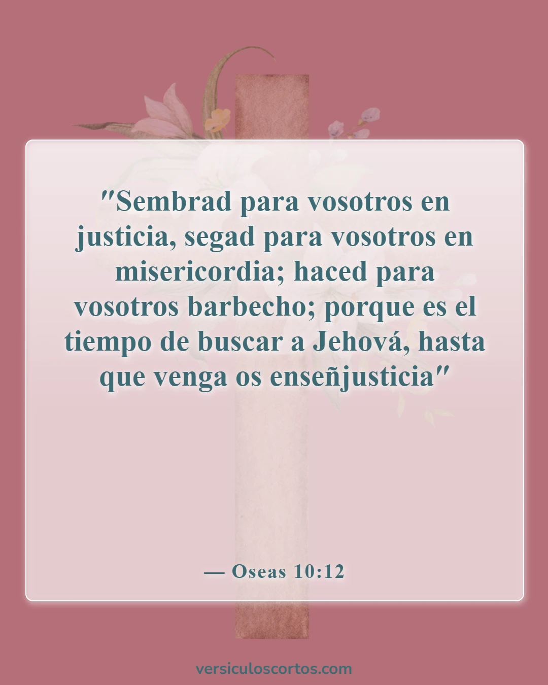 Versículos de la Biblia sobre encontrar a Dios (Oseas 10:12)