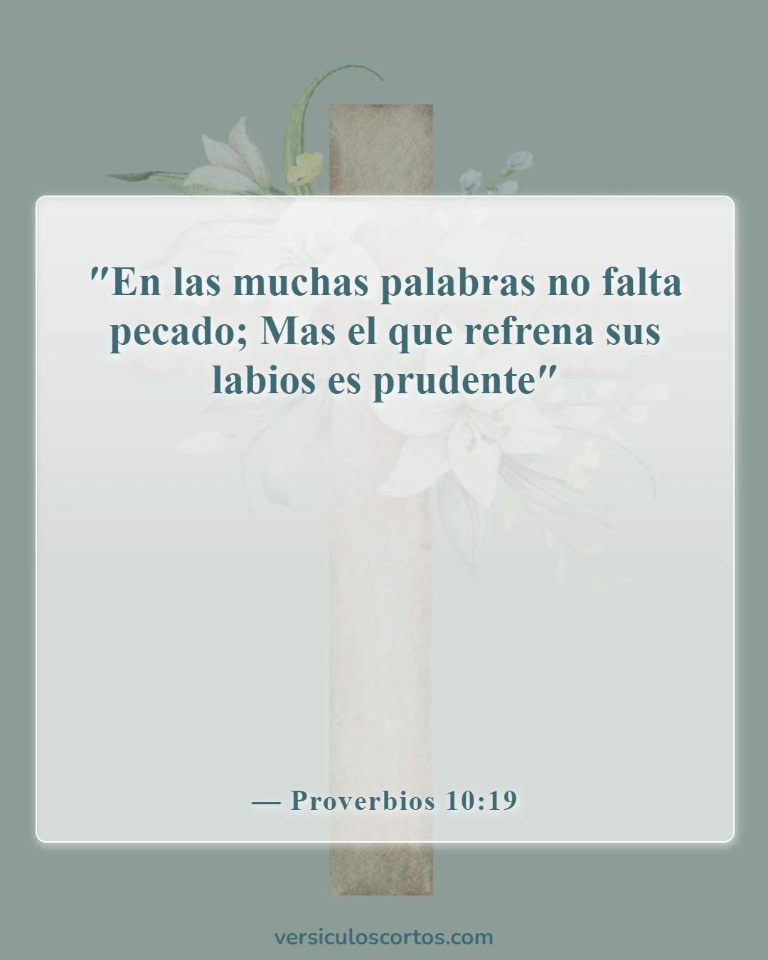Versículos de la Biblia sobre el poder de las palabras (Proverbios 10:19)