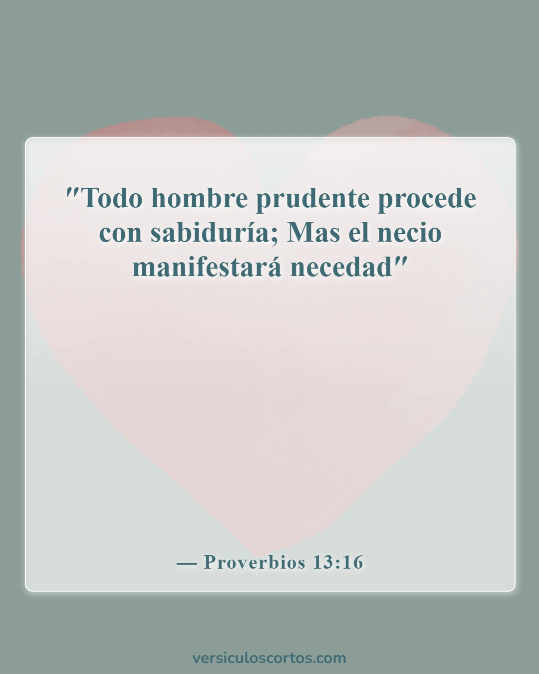 Versículos de la Biblia sobre llamar a alguien necio (Proverbios 13:16)