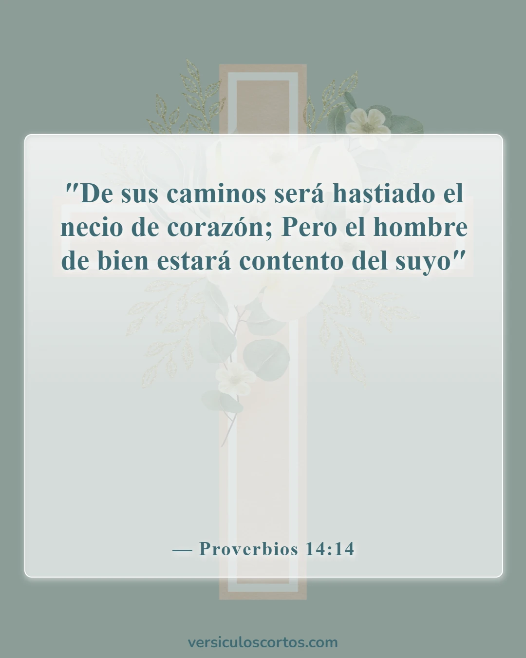 Versículos de la Biblia sobre el descarriado (Proverbios 14:14)