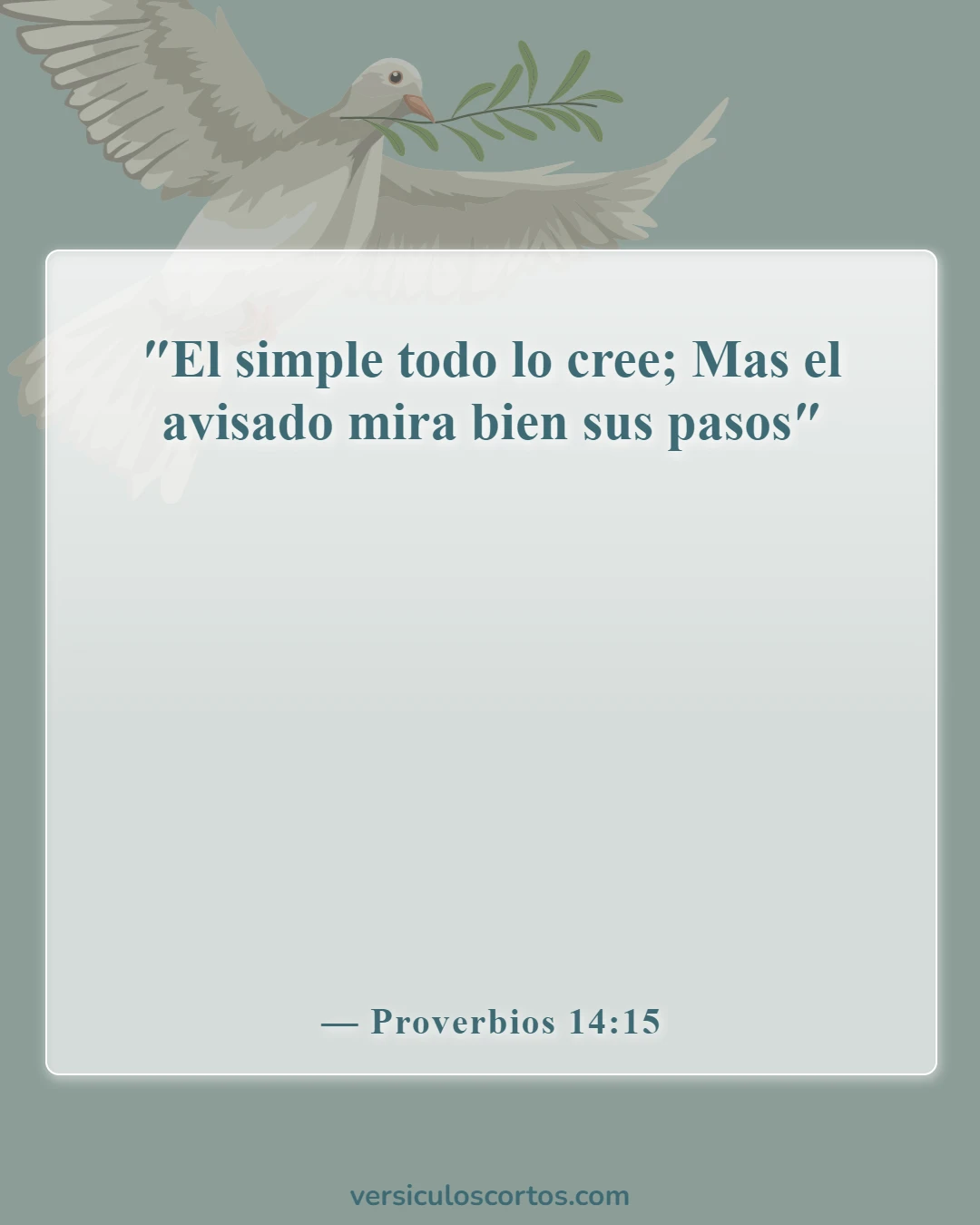 Versículos de la Biblia sobre tomar decisiones (Proverbios 14:15)
