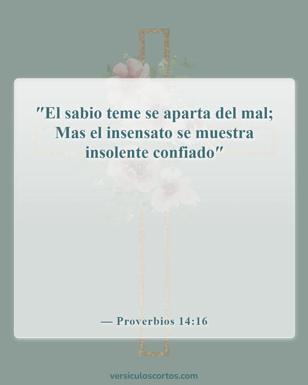 Versículos de la Biblia sobre llamar a alguien necio (Proverbios 14:16)