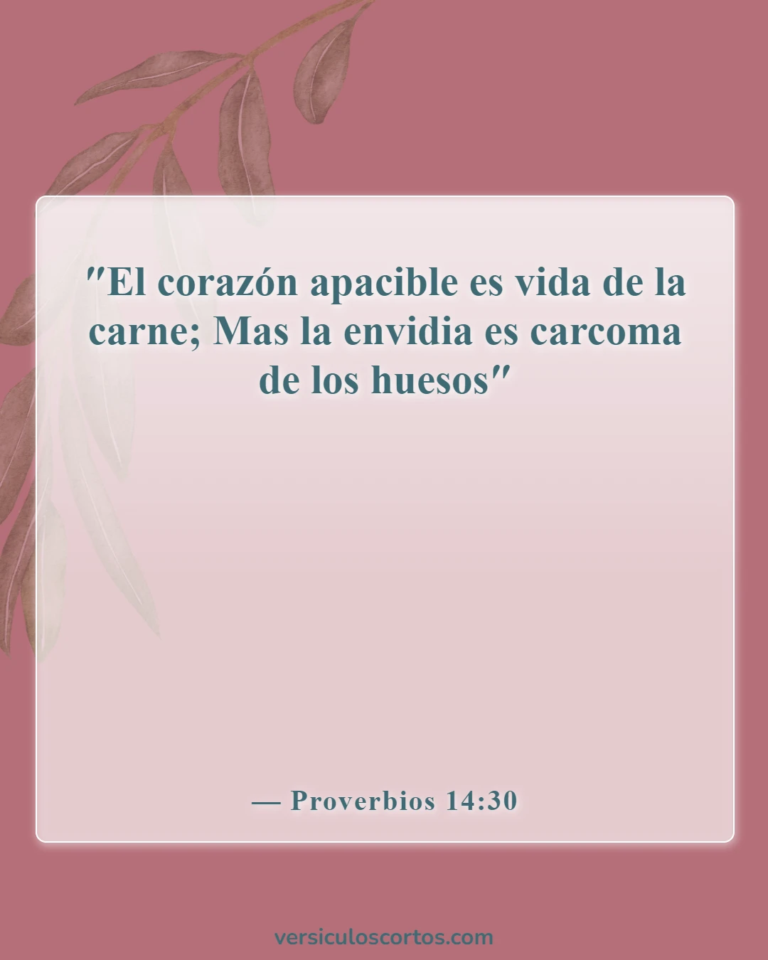 Versículos de la Biblia sobre la Apreciación de la Vida (Proverbios 14:30)