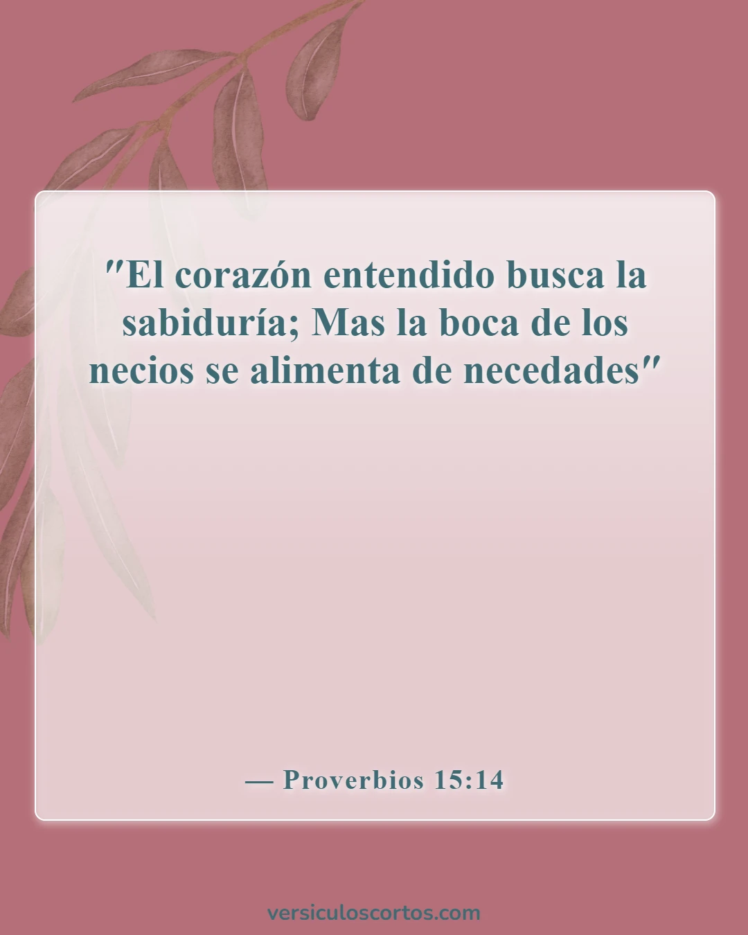 Versículos de la Biblia sobre llamar a alguien necio (Proverbios 15:14)