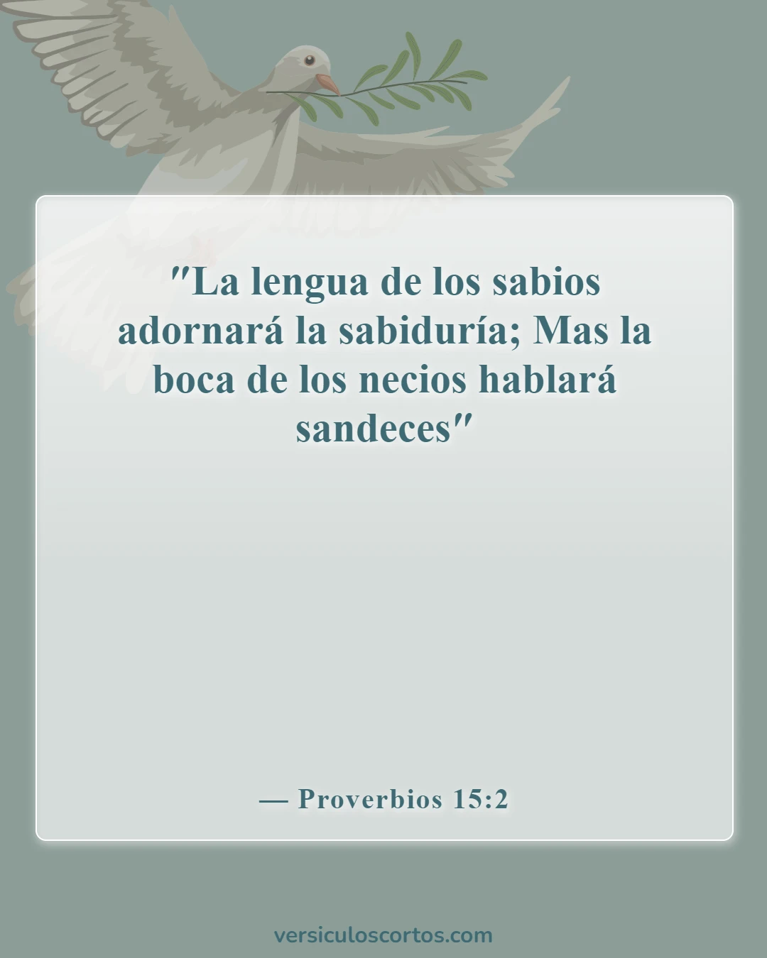 Versículos de la Biblia sobre llamar a alguien necio (Proverbios 15:2)