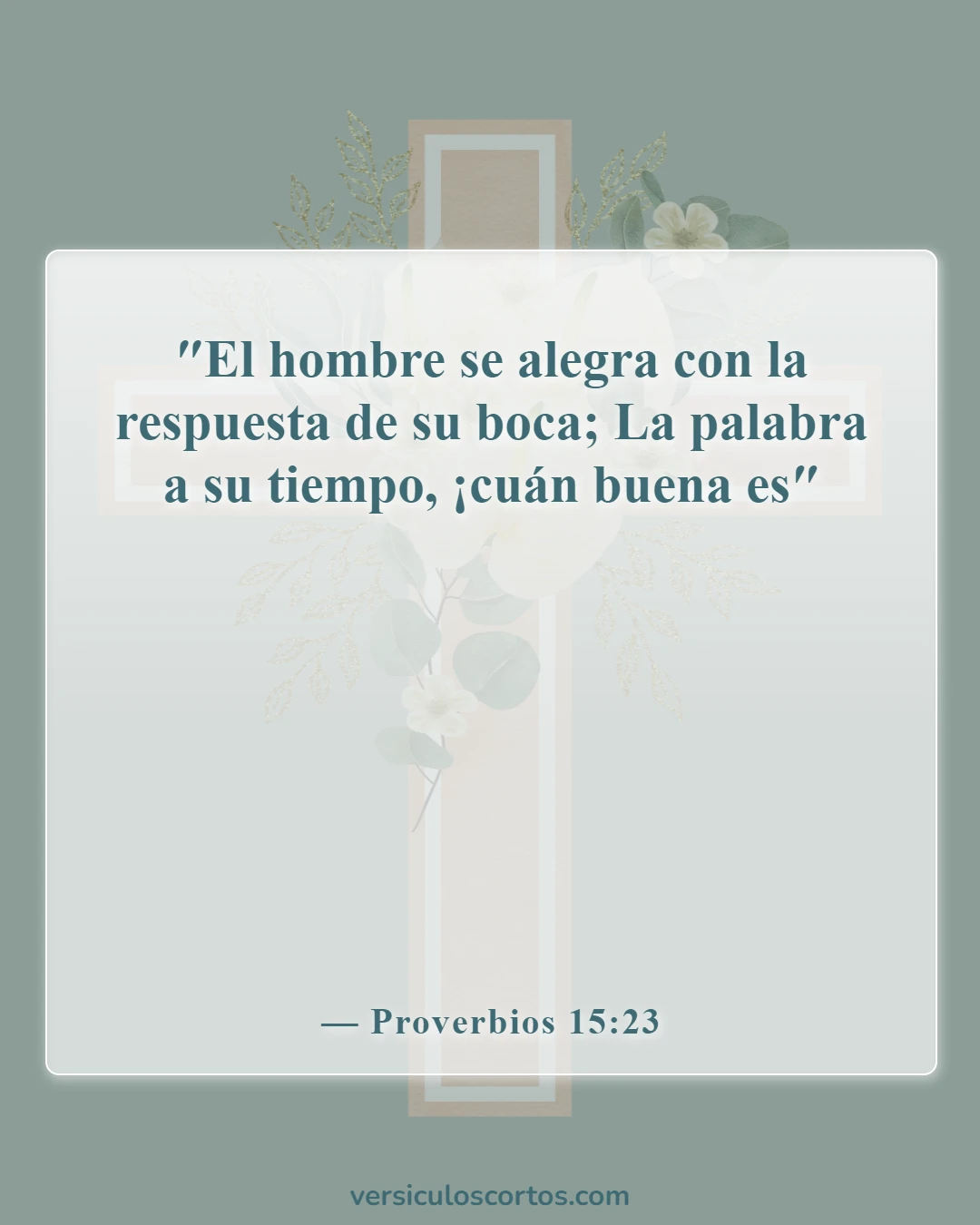 Versículos de la Biblia sobre el poder de las palabras (Proverbios 15:23)