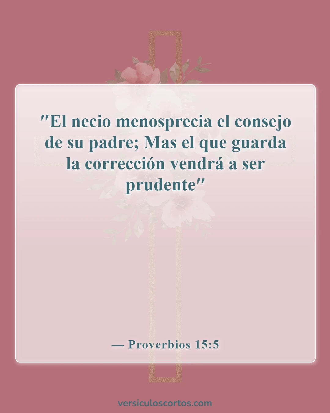 Versículos de la Biblia sobre llamar a alguien necio (Proverbios 15:5)