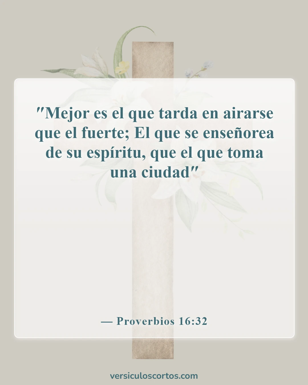 Versículos bíblicos sobre albergar ira (Proverbios 16:32)