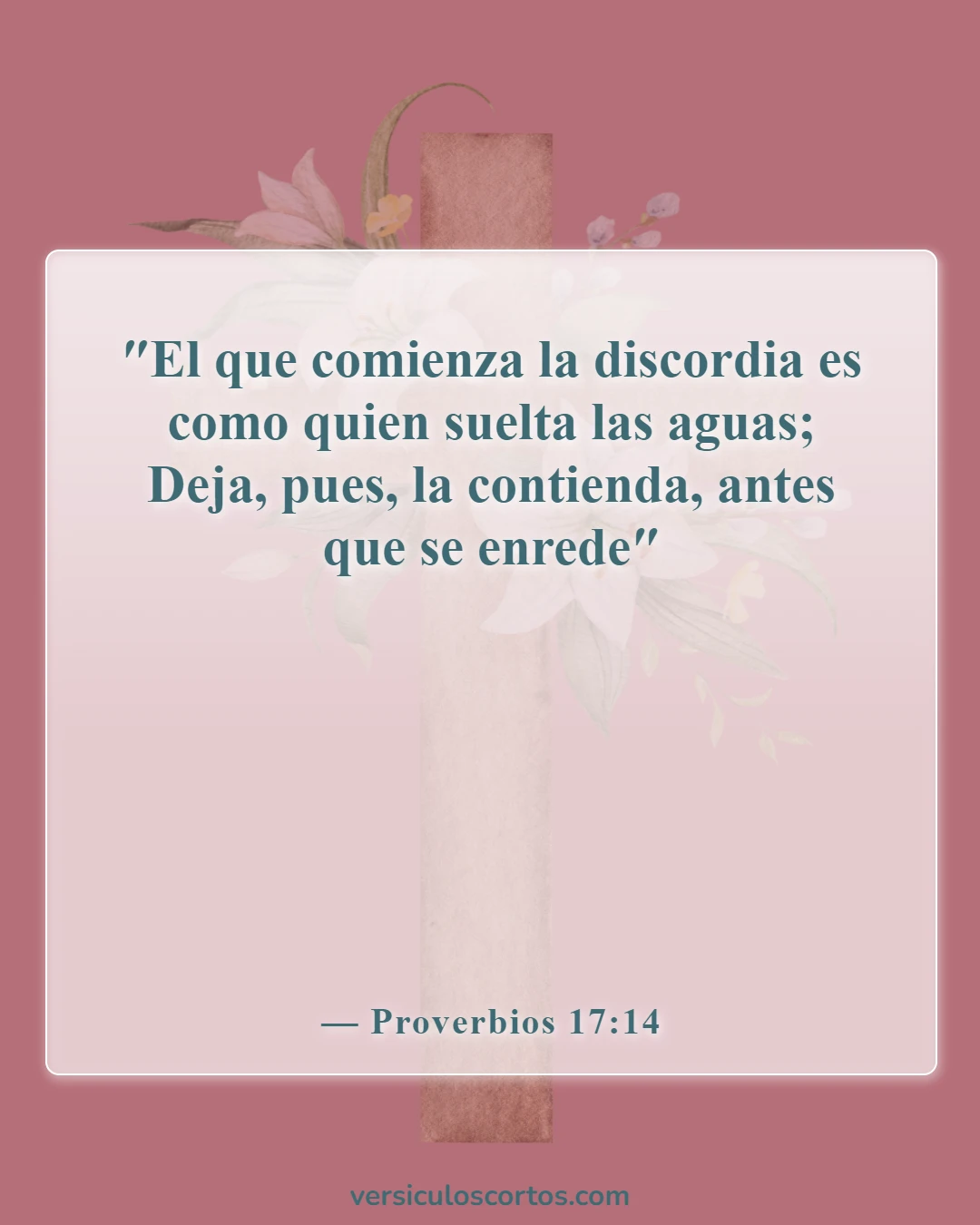 Versículos bíblicos sobre albergar ira (Proverbios 17:14)