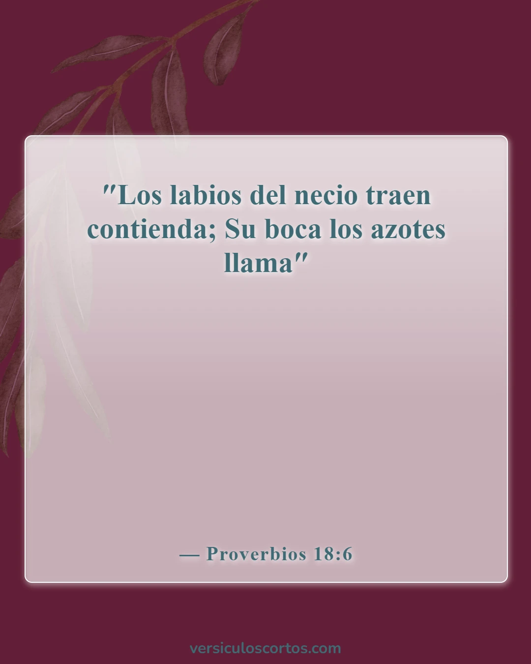 Versículos de la Biblia sobre llamar a alguien necio (Proverbios 18:6)