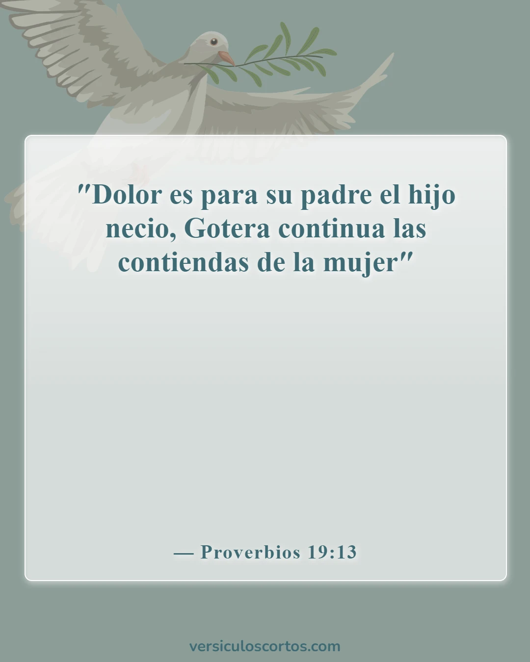Versículos de la Biblia sobre malos maridos (Proverbios 19:13)