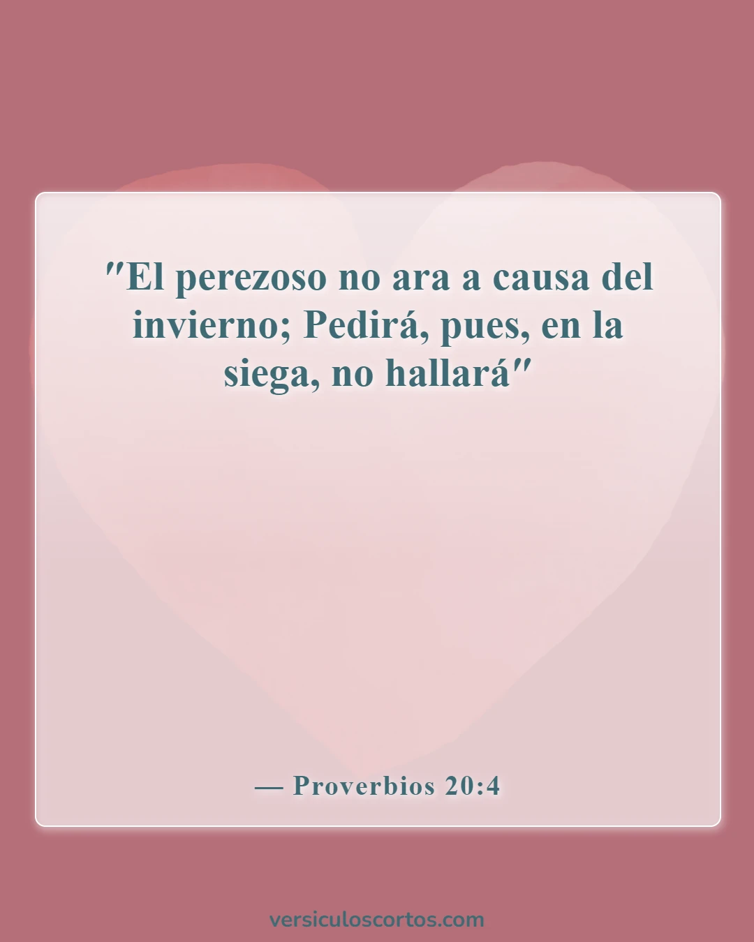 Versículos de la Biblia sobre poner excusas (Proverbios 20:4)