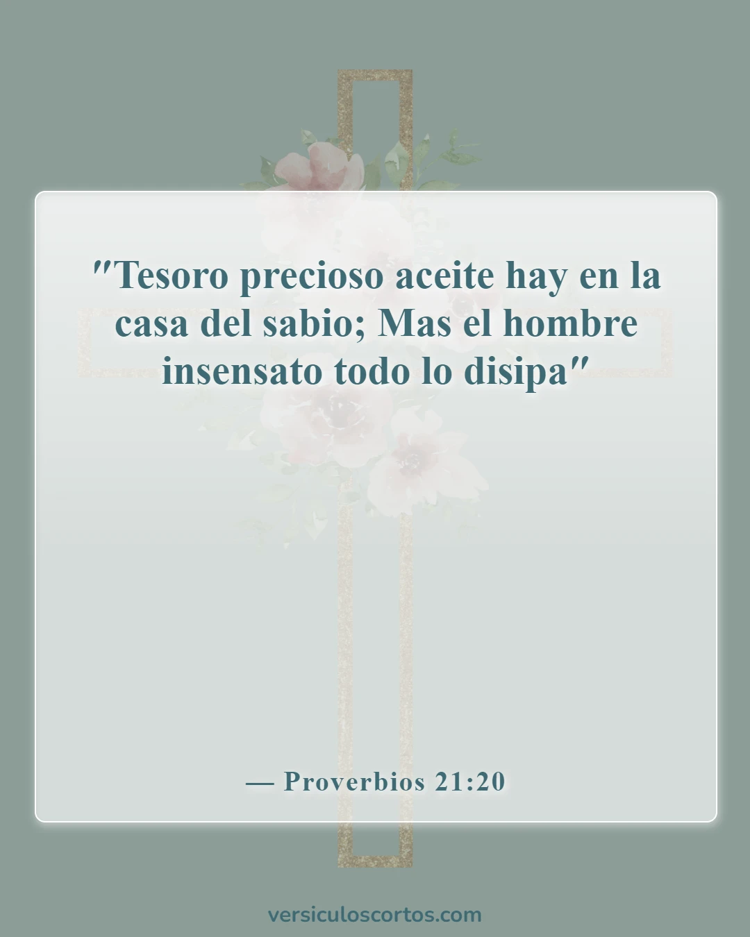 Versículos de la Biblia sobre llamar a alguien necio (Proverbios 21:20)