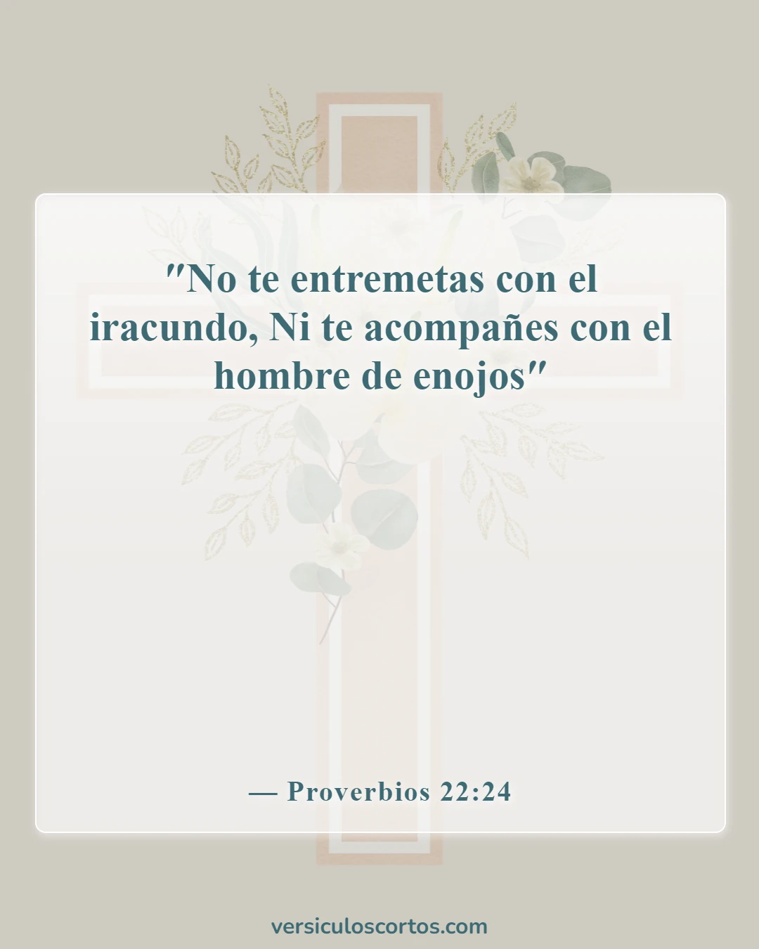 Versículos de la Biblia sobre salir con un no creyente (Proverbios 22:24)