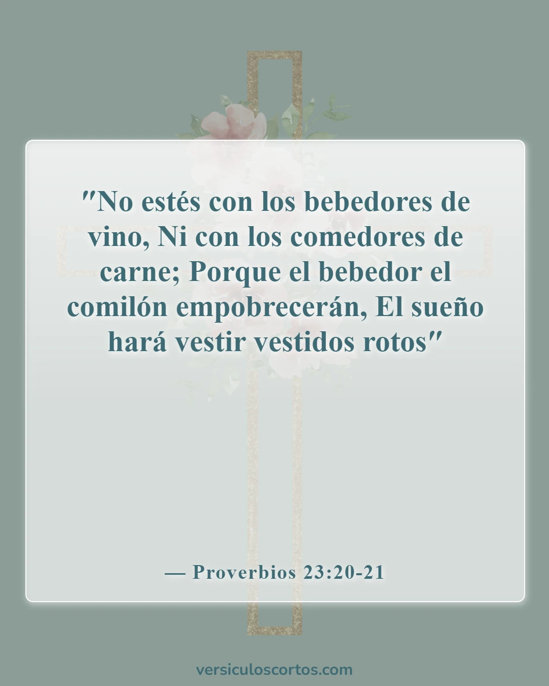 Versículos de la Biblia sobre el consumo de drogas (Proverbios 23:20-21)