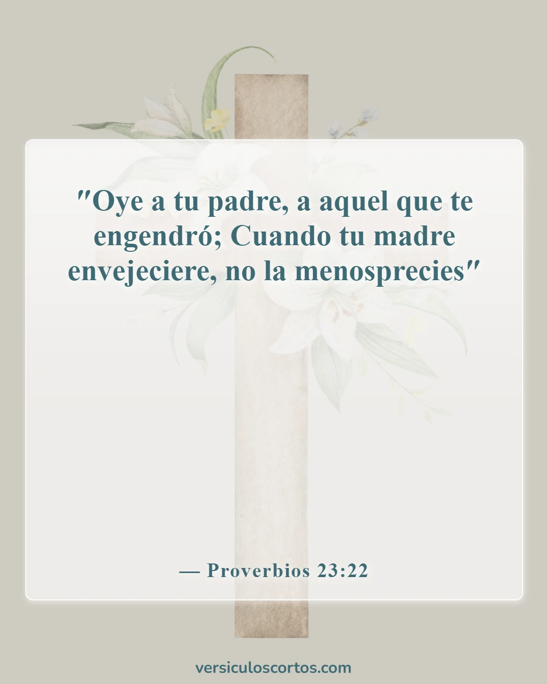Versículos bíblicos sobre dejar a los padres (Proverbios 23:22)