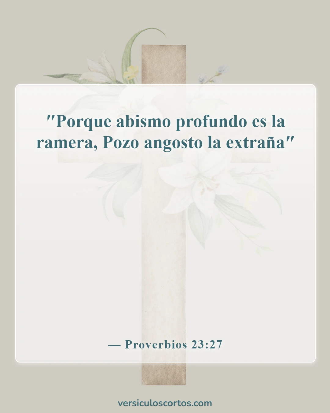 Versículos de la Biblia sobre cometer adulterio (Proverbios 23:27)