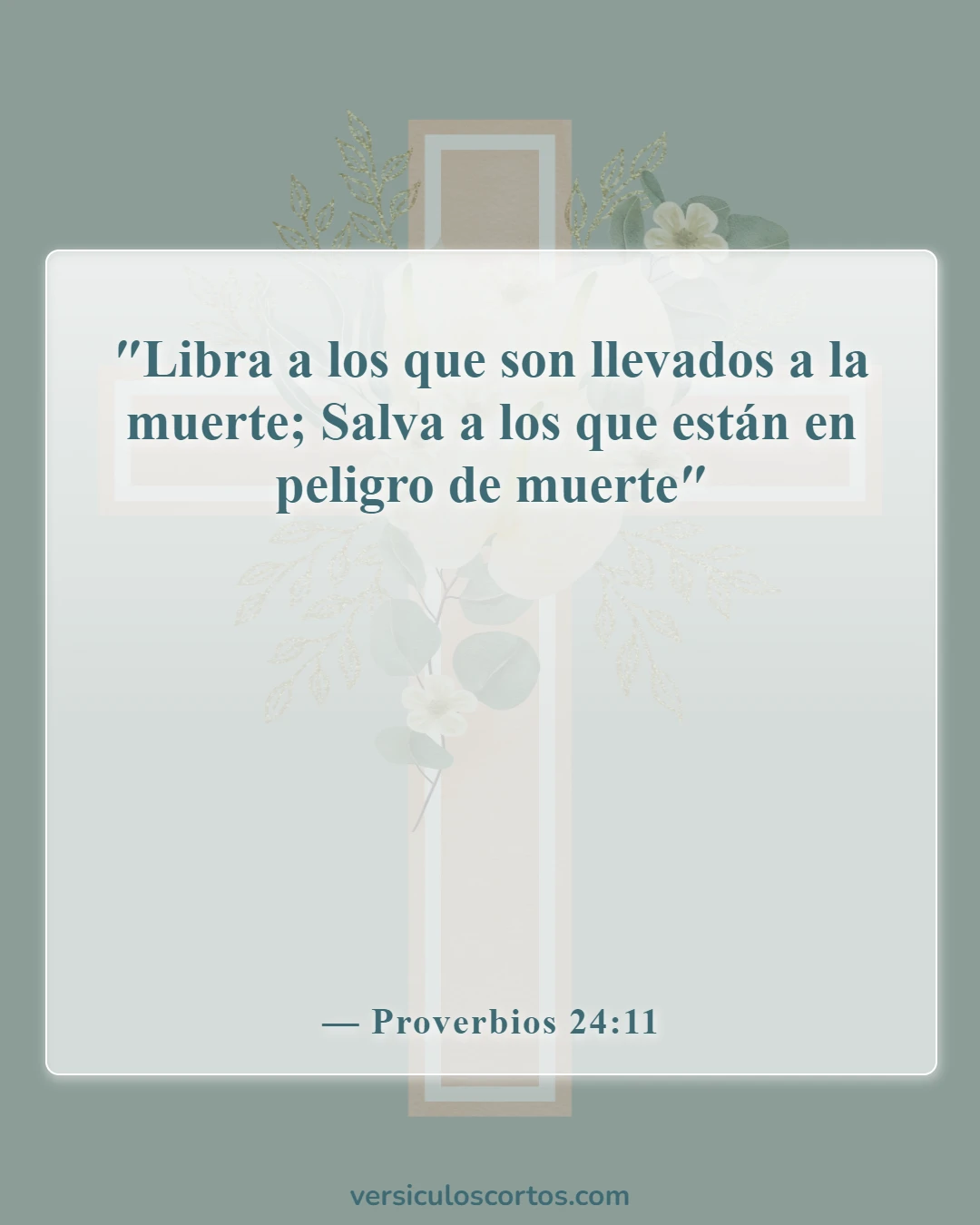 Versículos de la Biblia sobre defender a tu familia (Proverbios 24:11)
