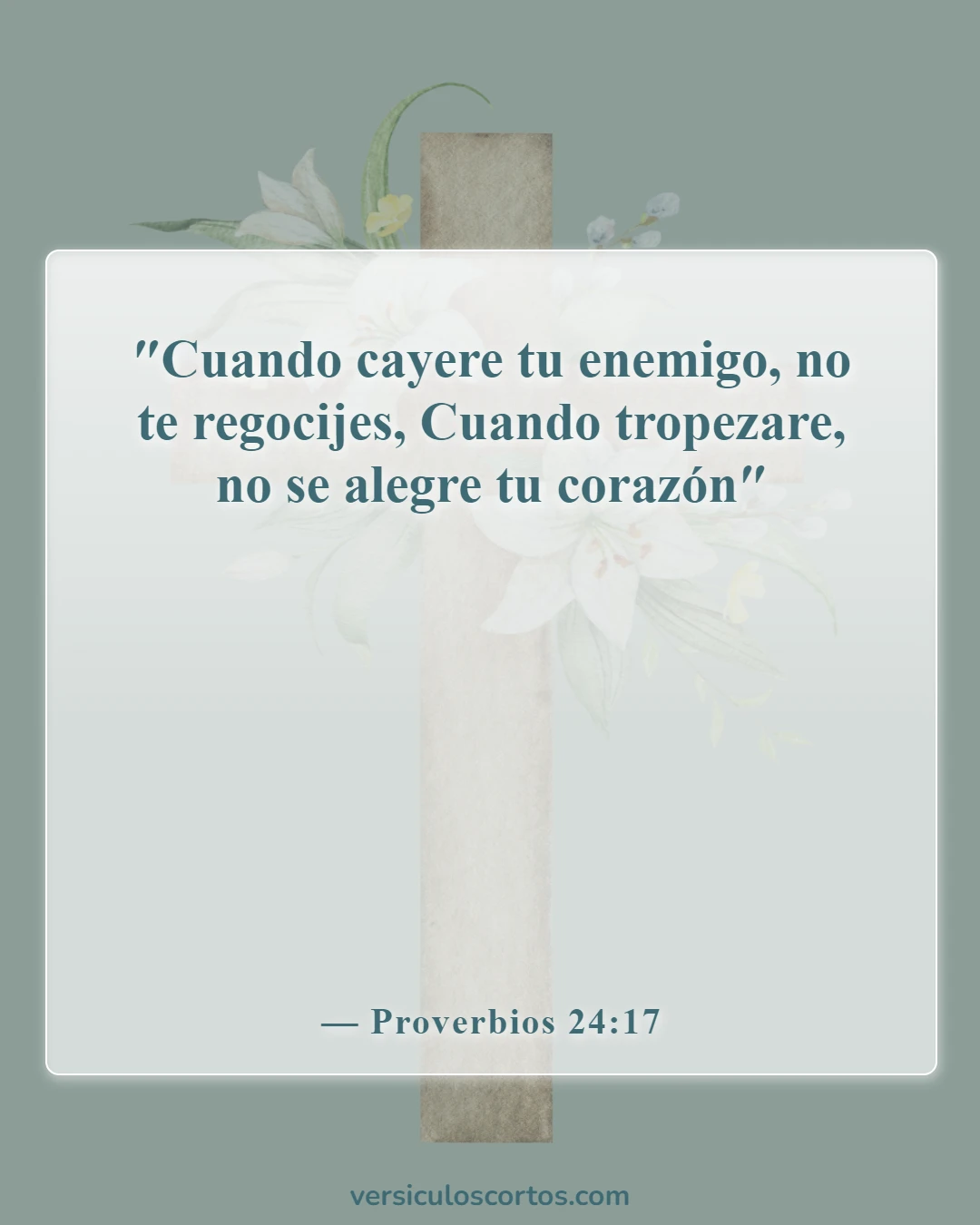 Versículos de la Biblia sobre perdonar a tus enemigos (Proverbios 24:17)
