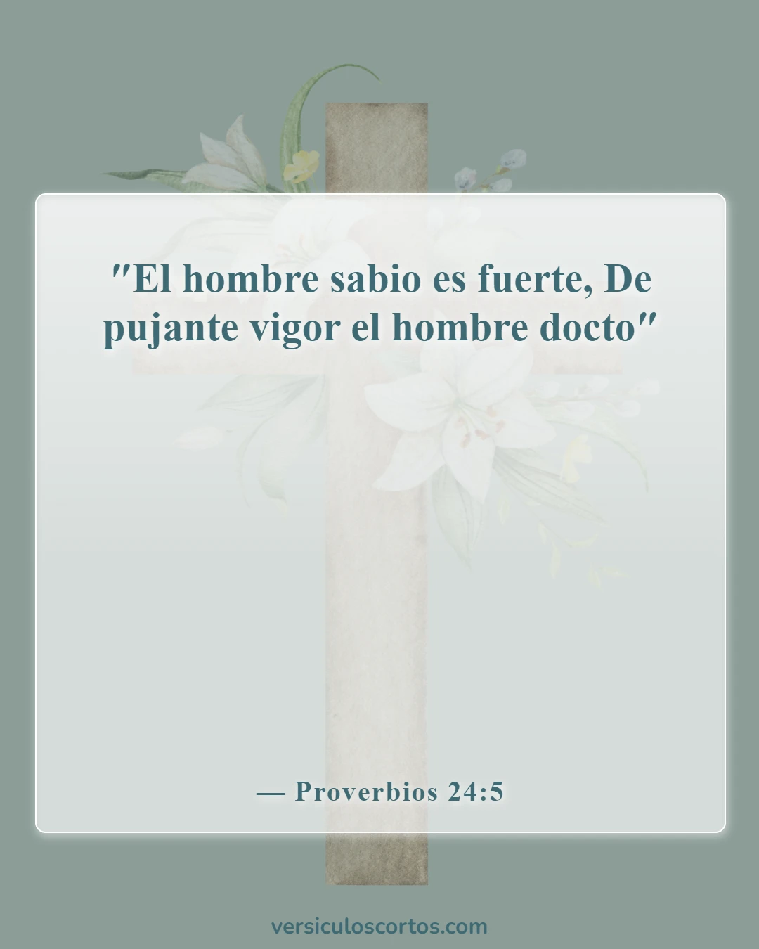 Versículos bíblicos sobre elegir amigos (Proverbios 24:5)