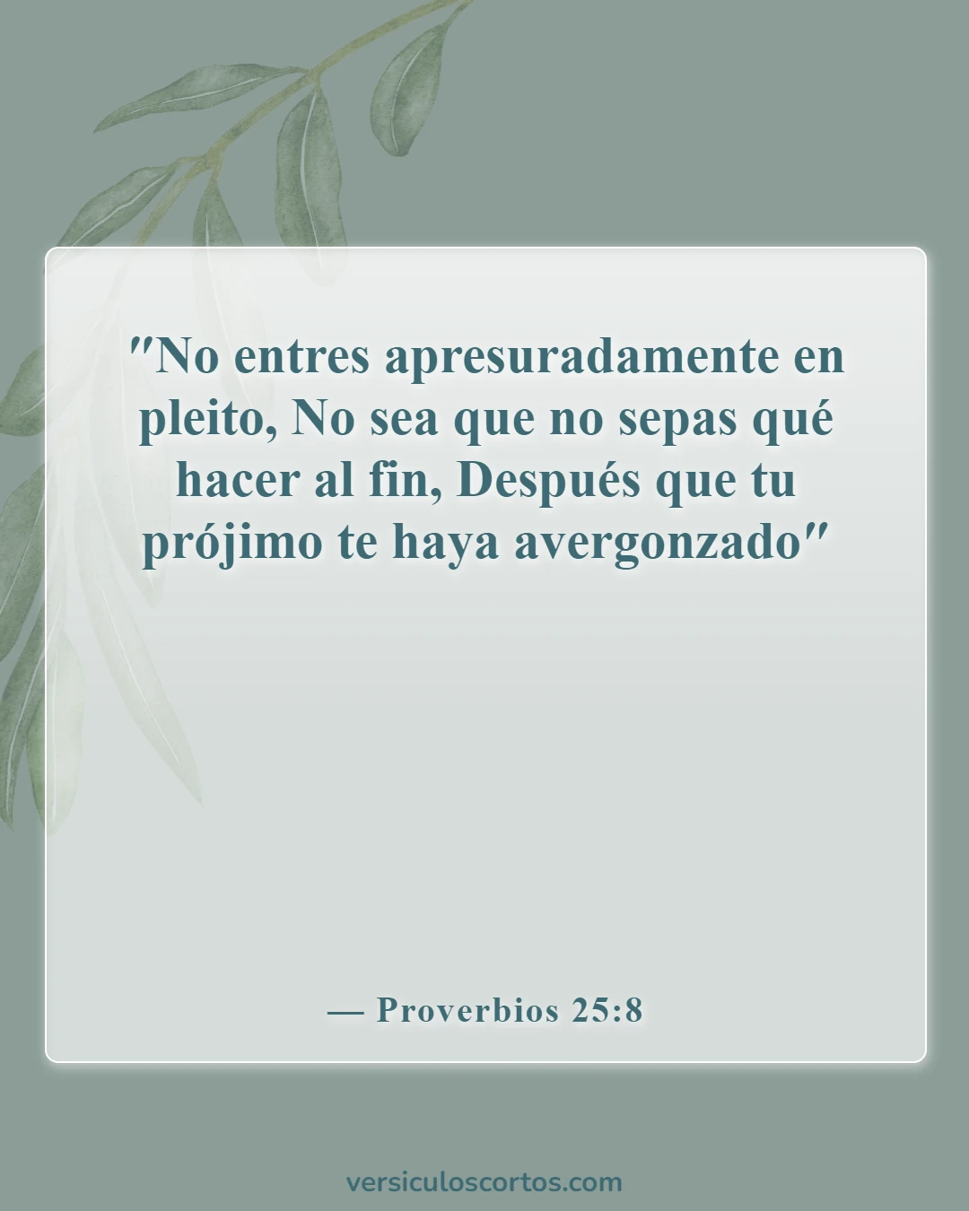 Versículos de la Biblia sobre juzgar a los demás (Proverbios 25:8)