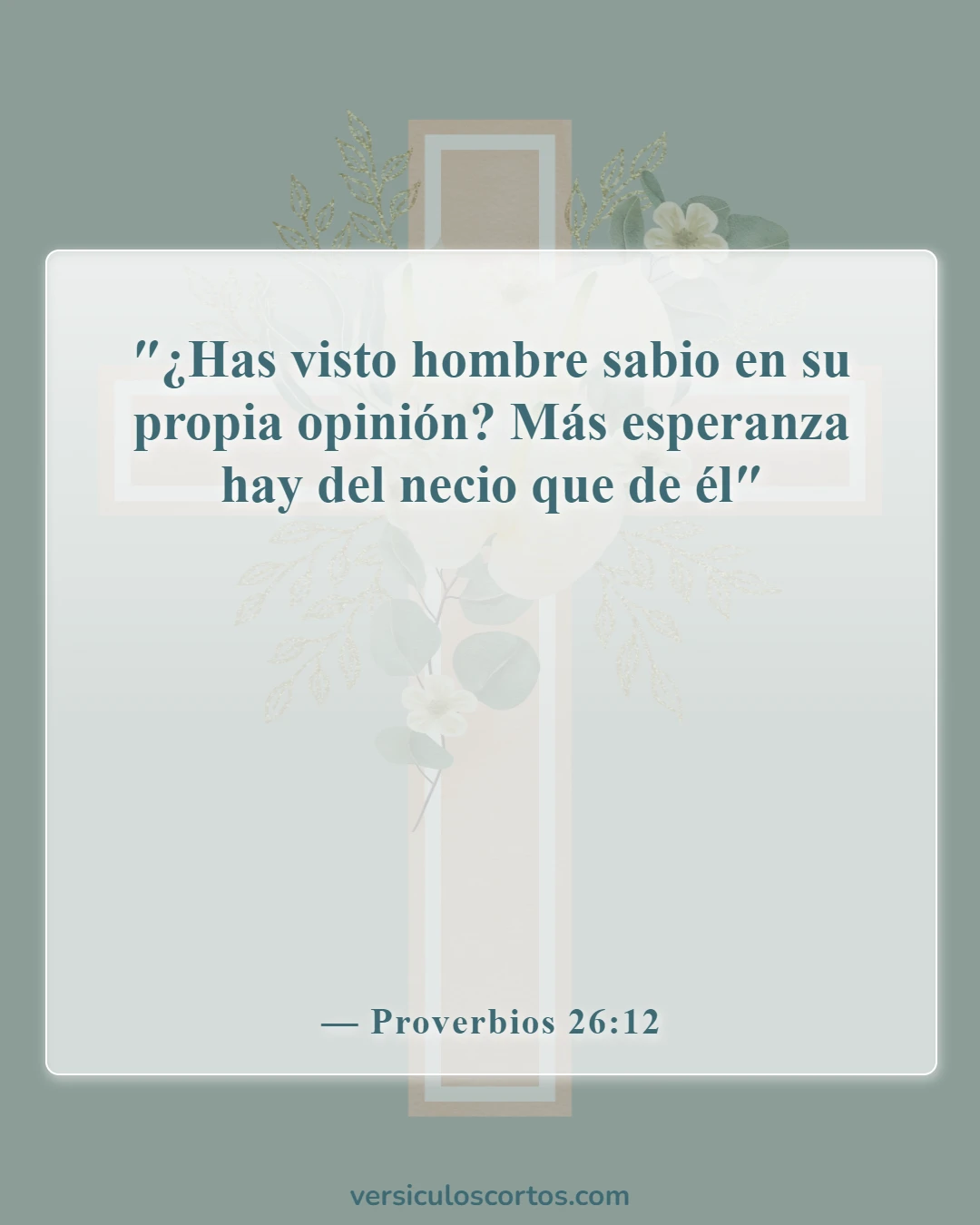 Versículos de la Biblia sobre llamar a alguien necio (Proverbios 26:12)