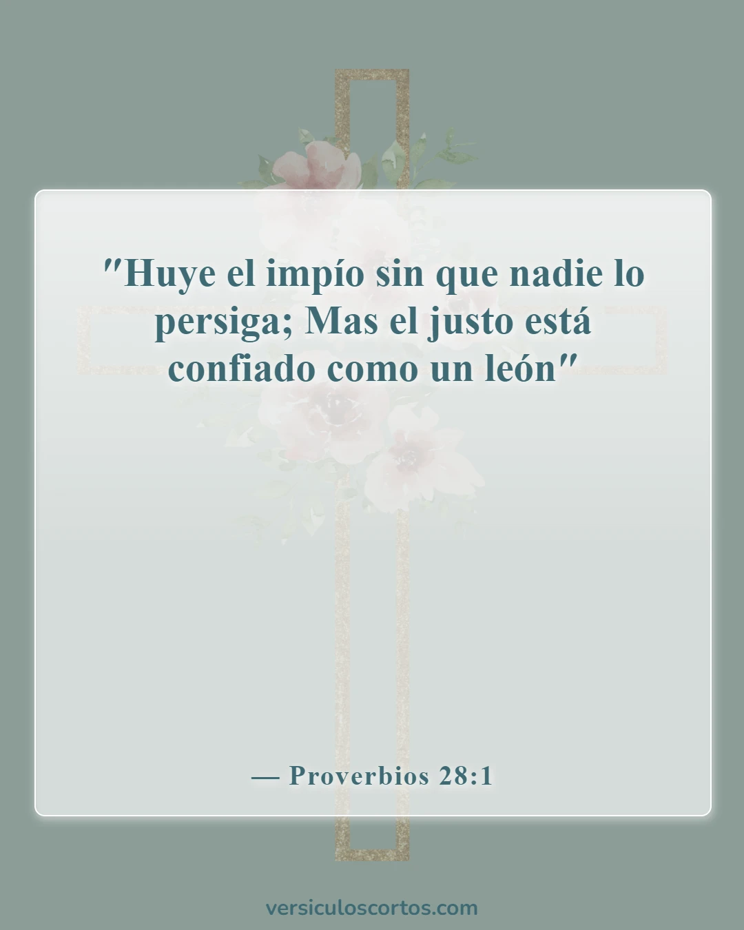 Versículos de la Biblia sobre la aventura (Proverbios 28:1)