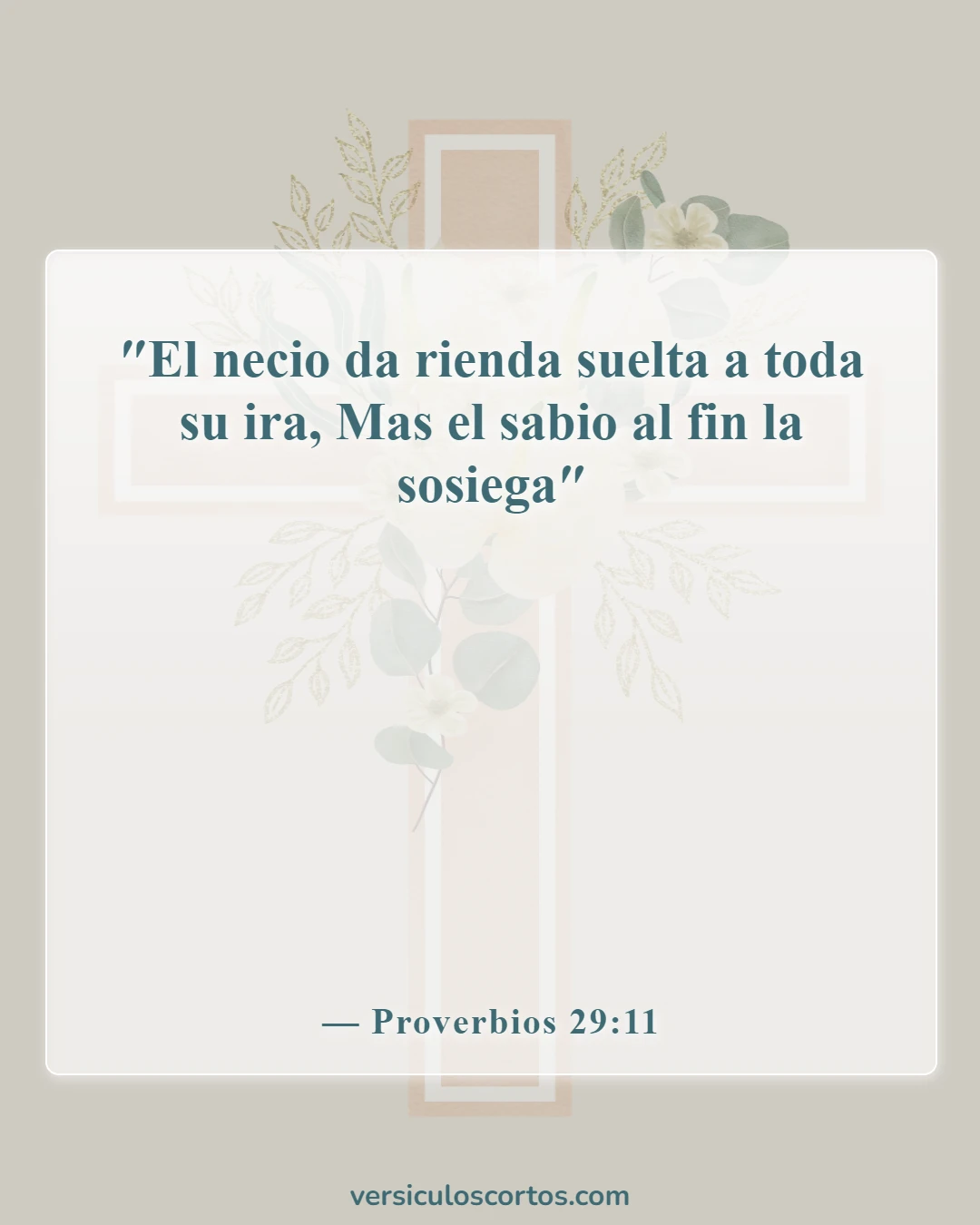 Versículos bíblicos sobre albergar ira (Proverbios 29:11)