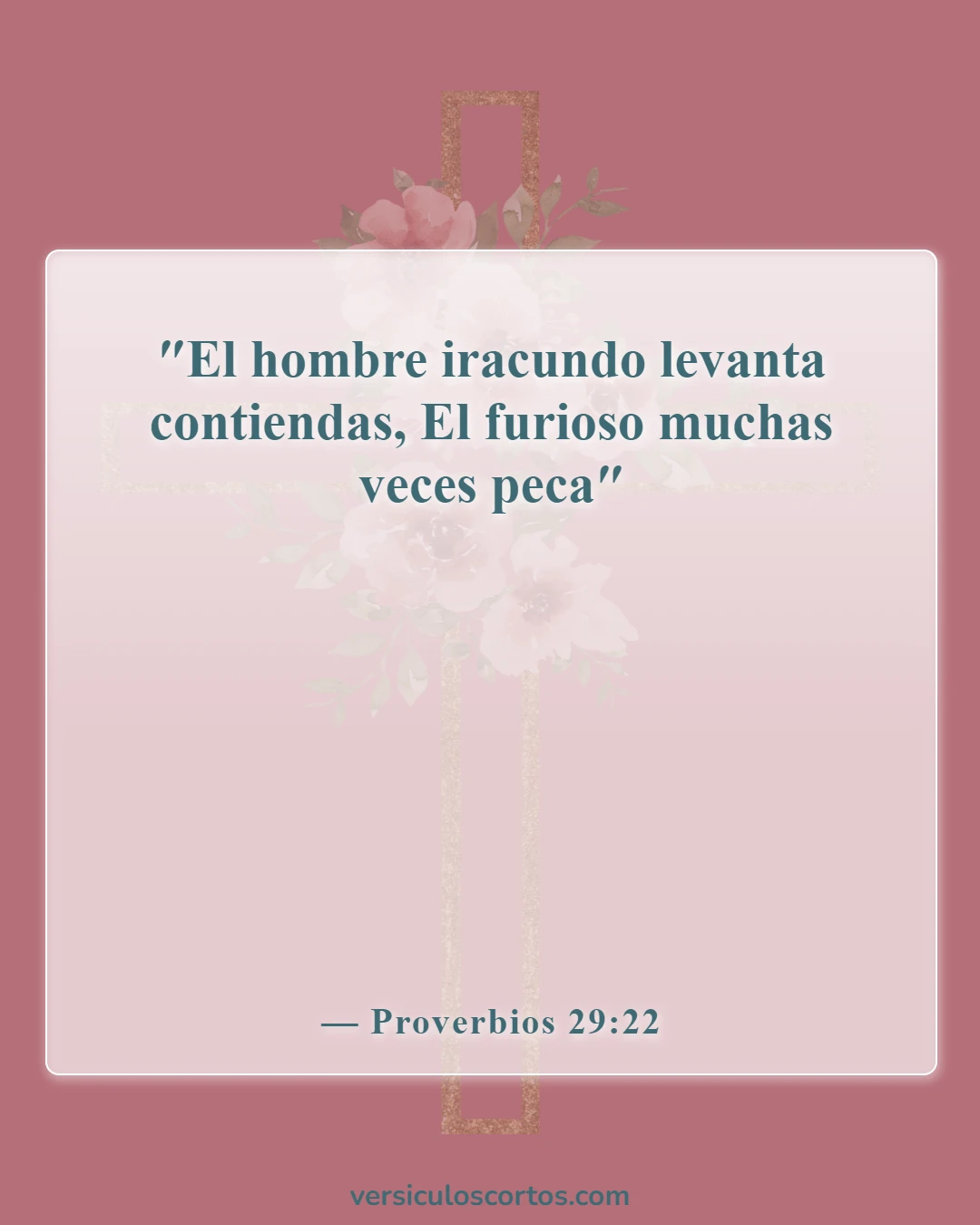 Versículos de la Biblia sobre esposos físicamente abusivos (Proverbios 29:22)