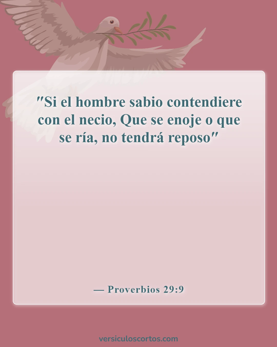 Versículos de la Biblia sobre llamar a alguien necio (Proverbios 29:9)