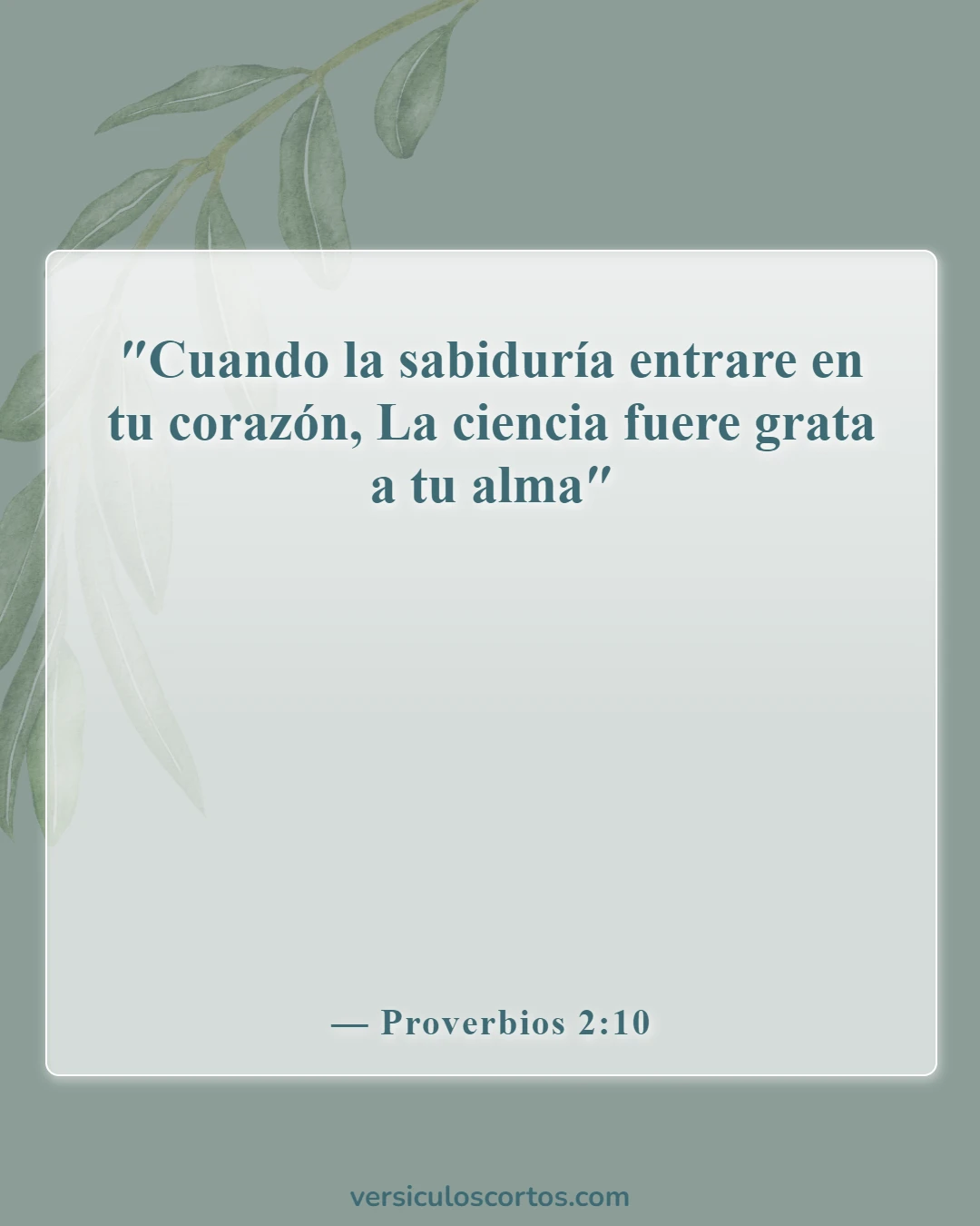 Versículos de la Biblia sobre la falta de conocimiento (Proverbios 2:10)