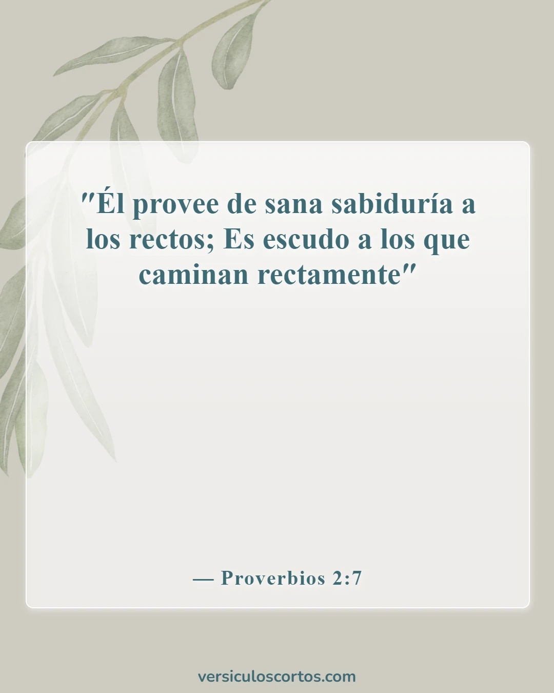 Versículos de la Biblia sobre la Armadura de Dios (Proverbios 2:7)