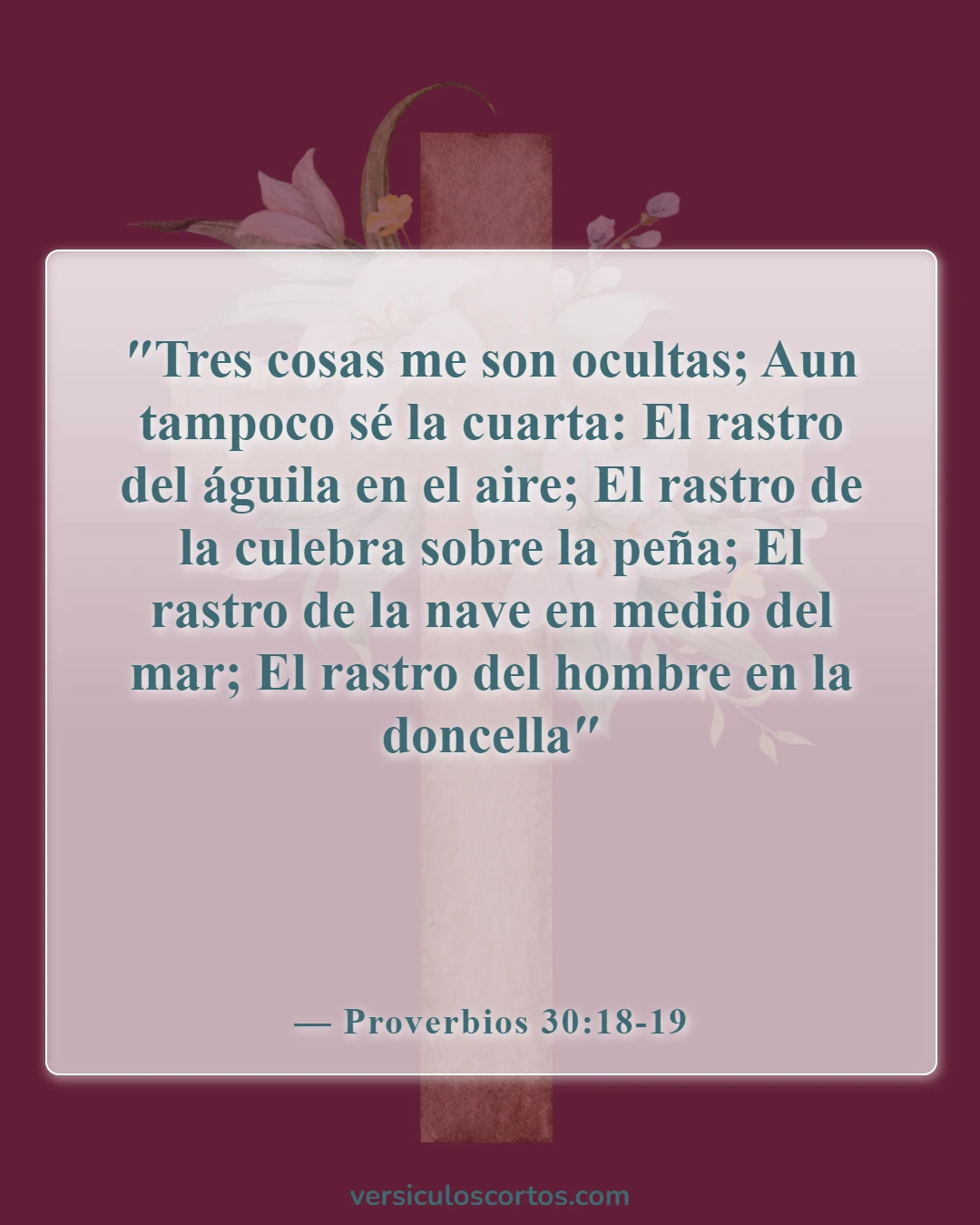 Versículos bíblicos sobre el matrimonio y la Biblia (Proverbios 30:18-19)