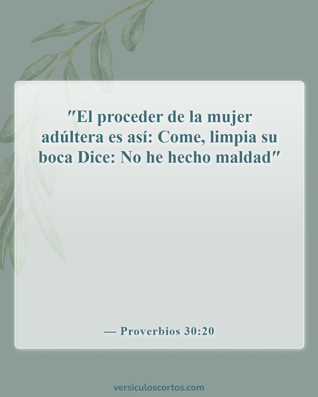 Versículos de la Biblia sobre cometer adulterio (Proverbios 30:20)