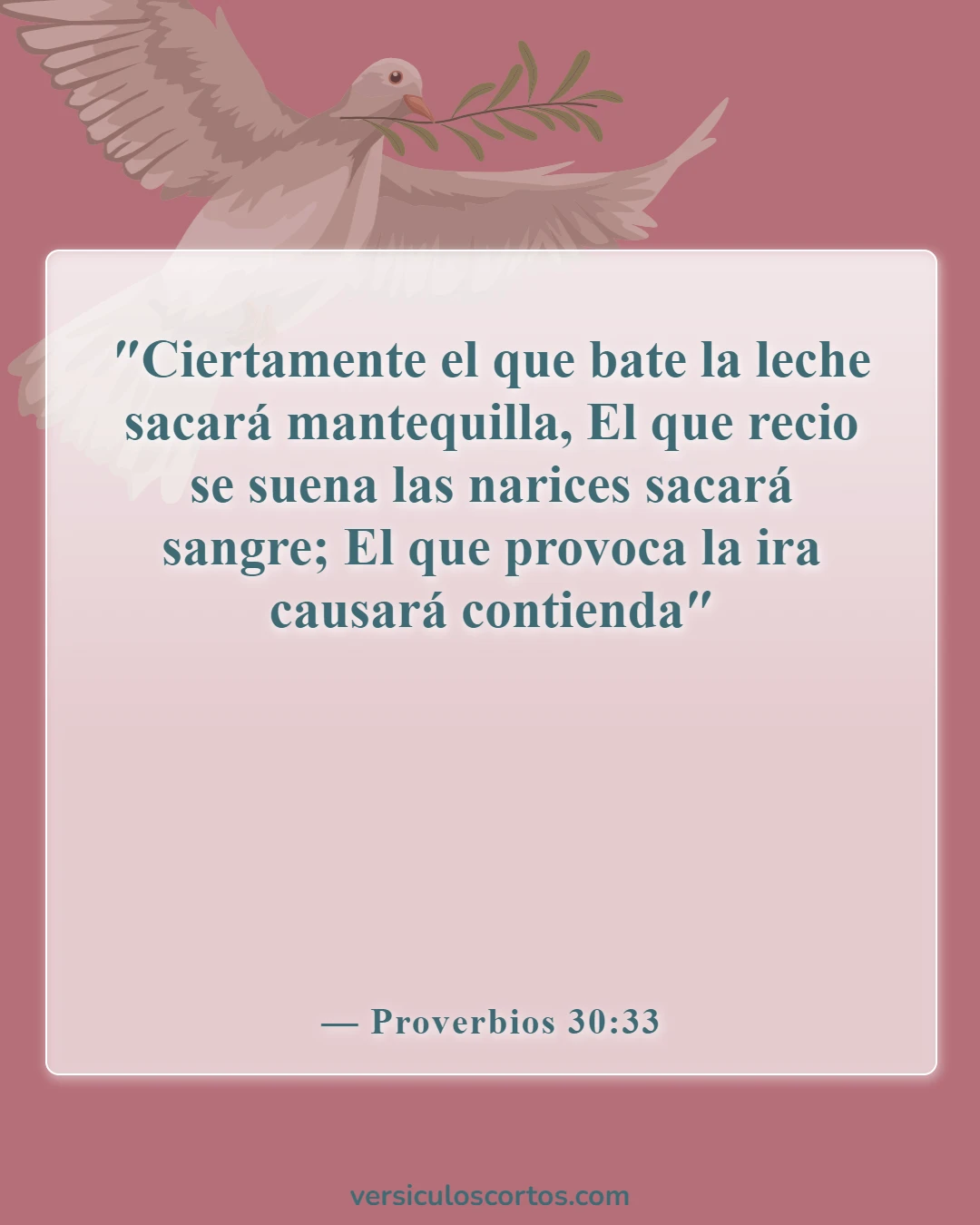 Versículos de la Biblia sobre personas molestas (Proverbios 30:33)