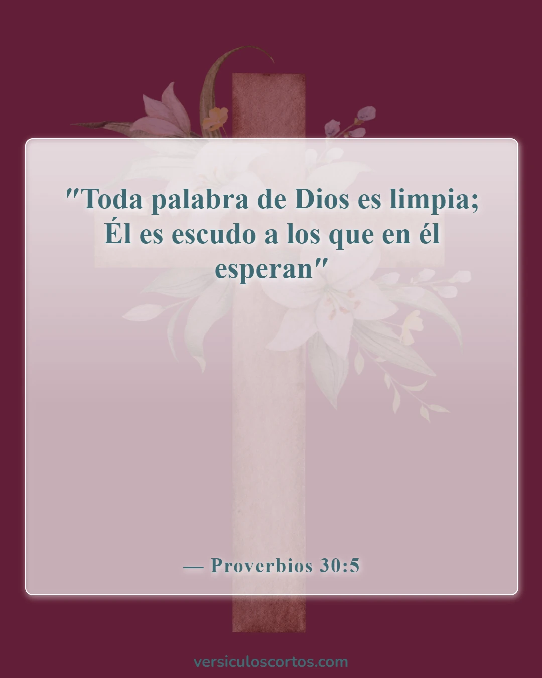 Versículos bíblicos sobre el poder de la palabra (Proverbios 30:5)