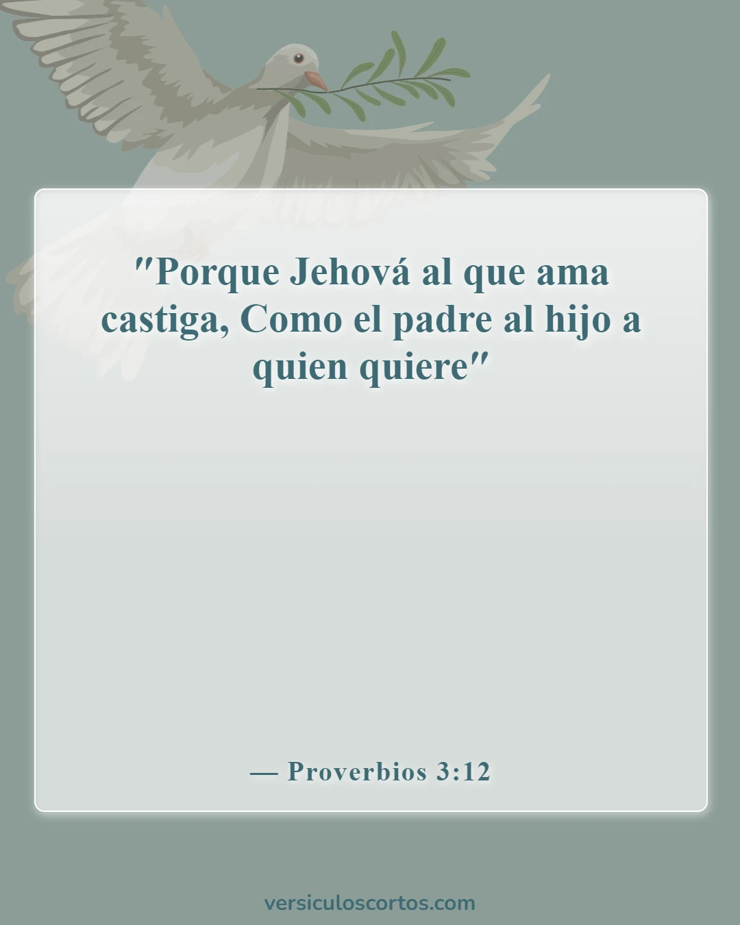 Versículos de la Biblia sobre la disciplina de los hijos (Proverbios 3:12)