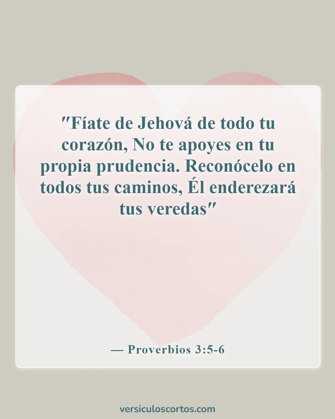 Versículos de la Biblia sobre la Apreciación de la Vida (Proverbios 3:5-6)