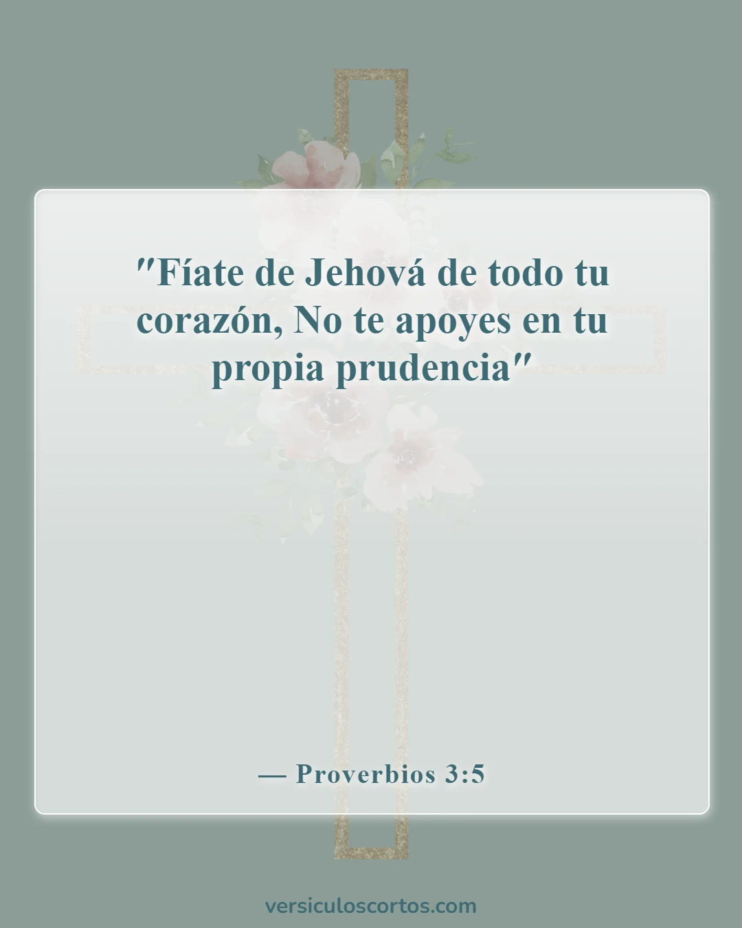 Versículos de la Biblia sobre cómo ser salvo (Proverbios 3:5)