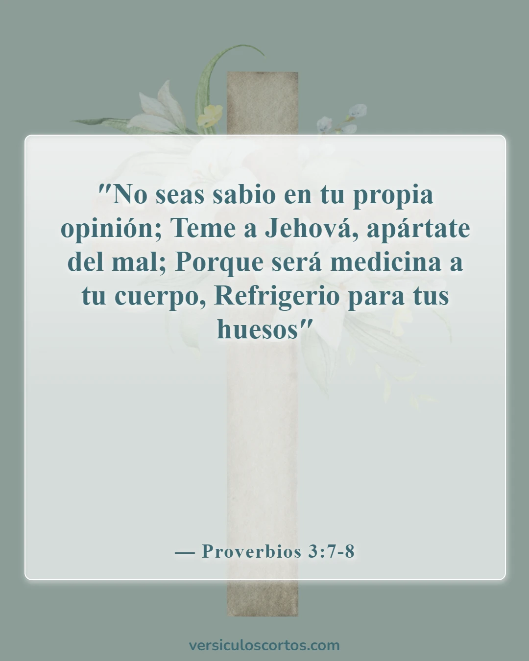 Versículos de la Biblia sobre amar tu cuerpo (Proverbios 3:7-8)