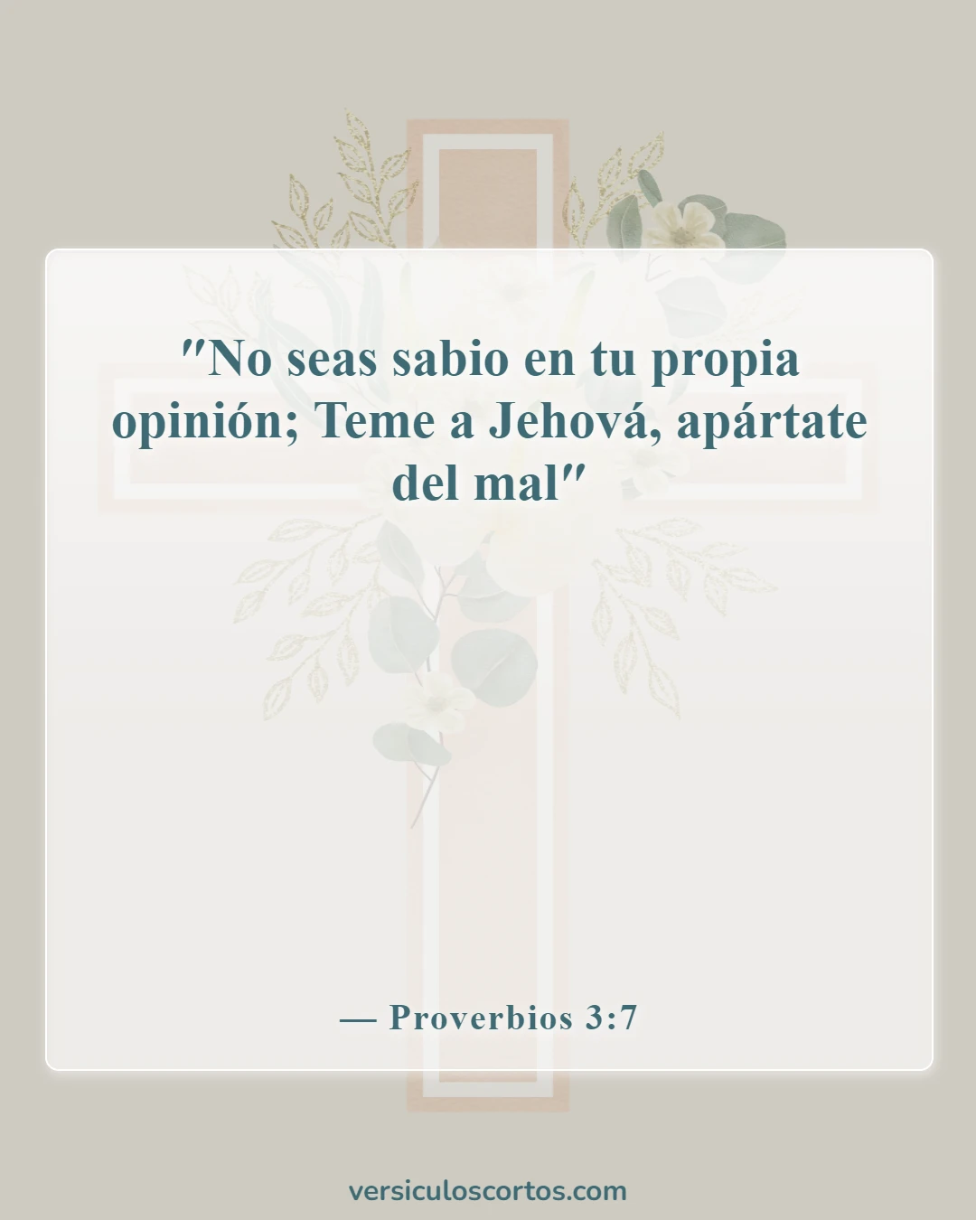 Versículos de la Biblia sobre salir con un no creyente (Proverbios 3:7)