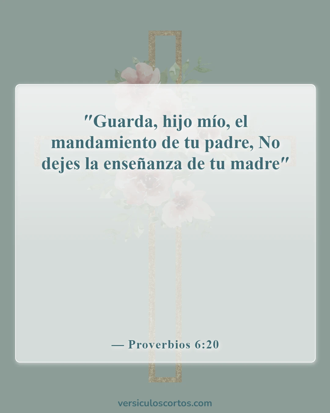 Versículos bíblicos sobre dejar a los padres (Proverbios 6:20)