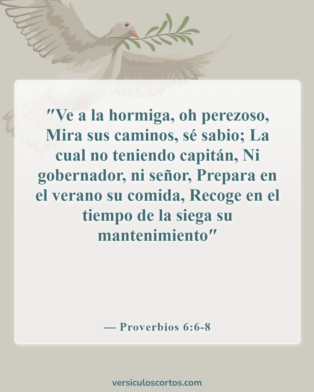 Versículos de la Biblia sobre el trabajo del hombre (Proverbios 6:6-8)