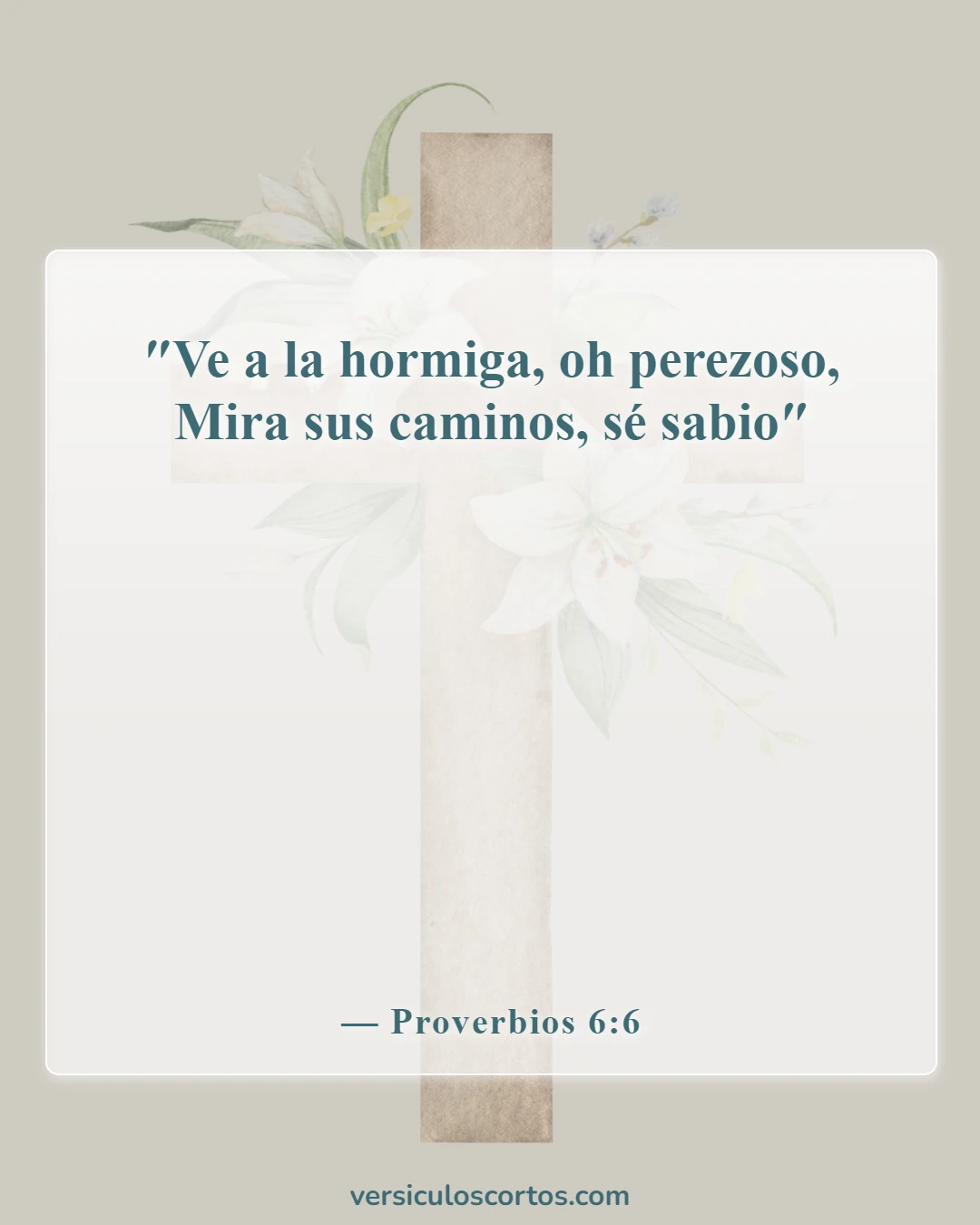 Versículos de la Biblia sobre la responsabilidad (Proverbios 6:6)
